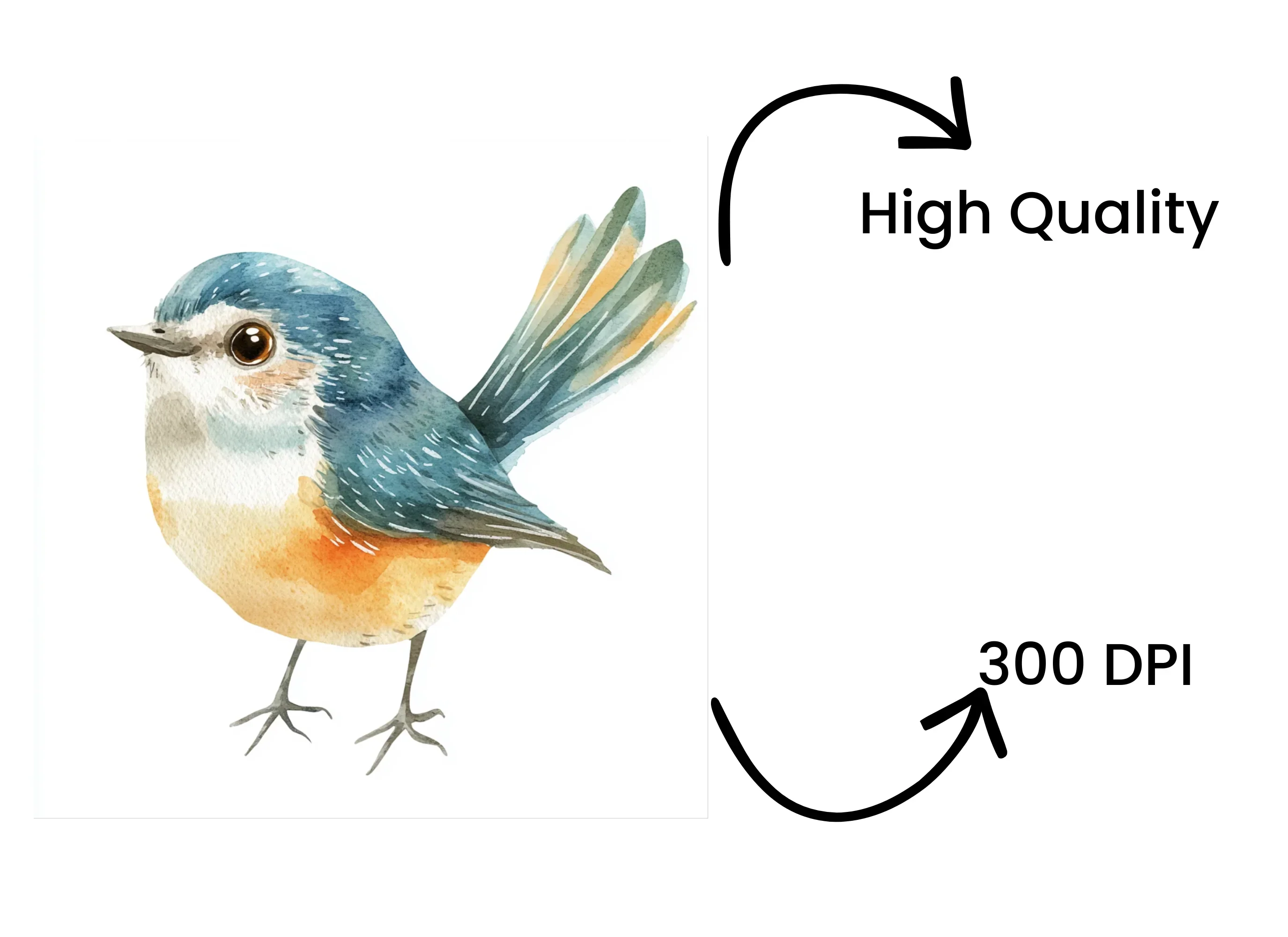 Adorable Bird Illustrations Clipart Bundle - Image 4