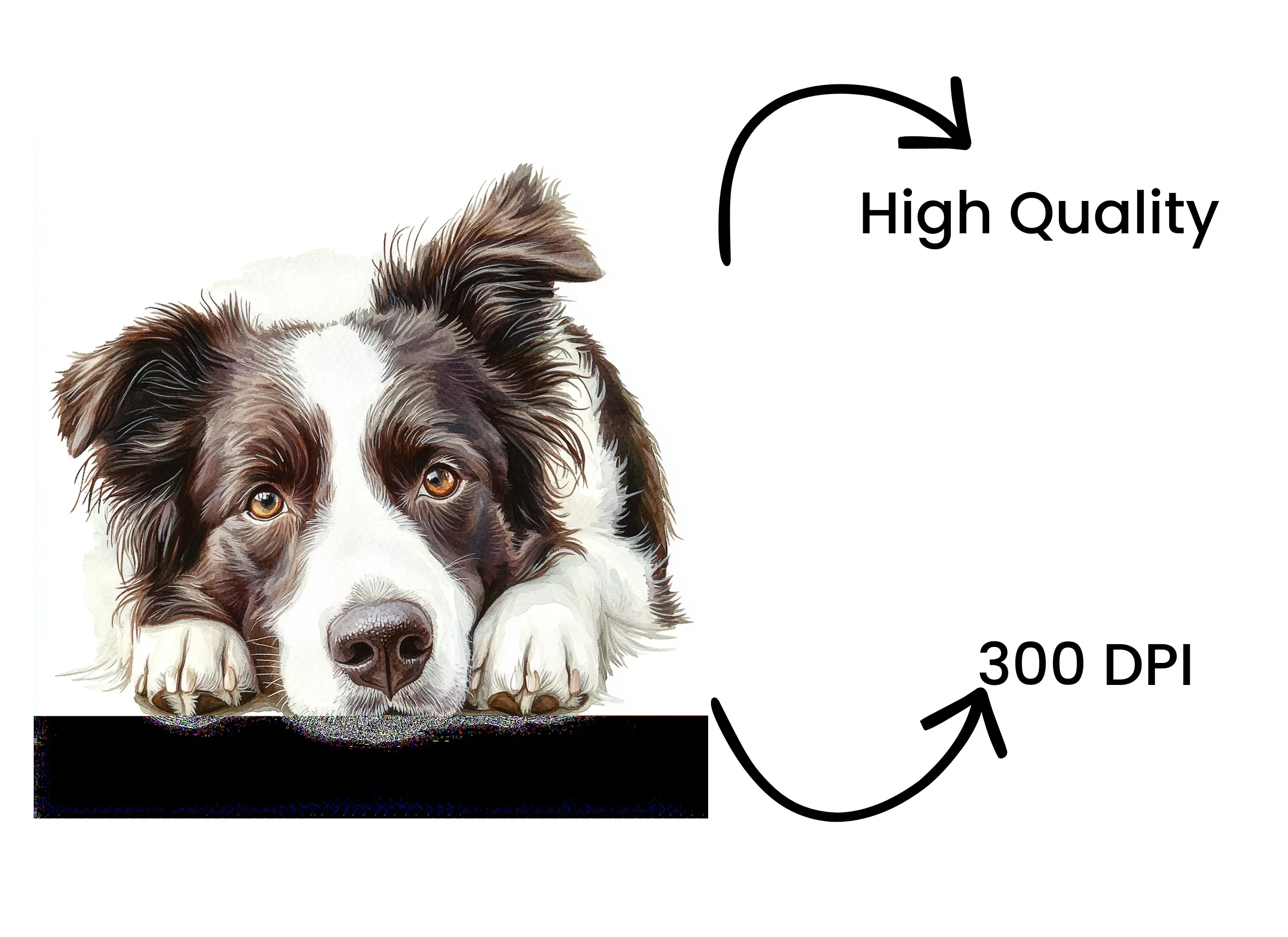 Adorable Border Collie Dog Clipart Bundle - Image 4