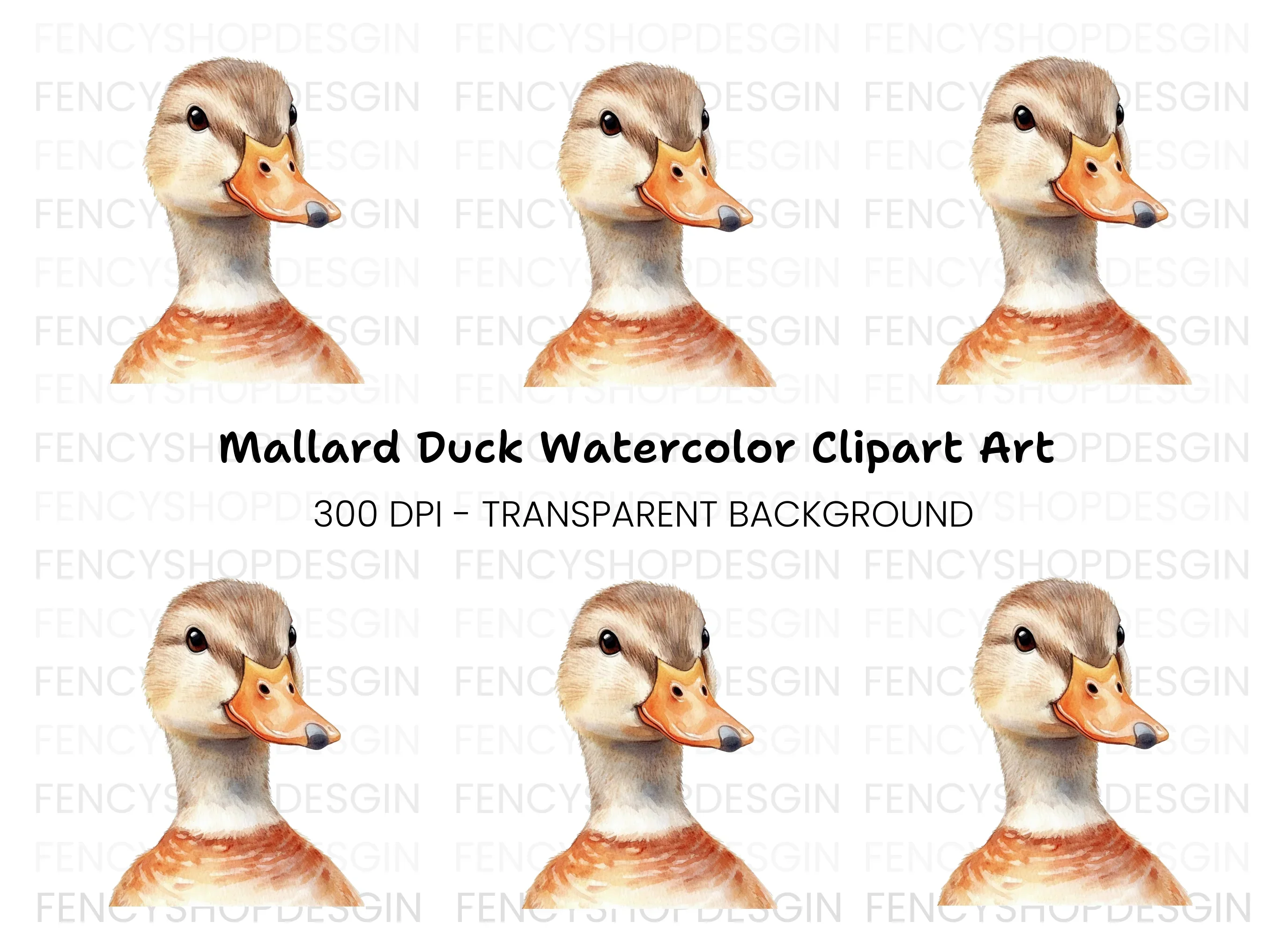 Adorable Duck Head Clipart Bundle