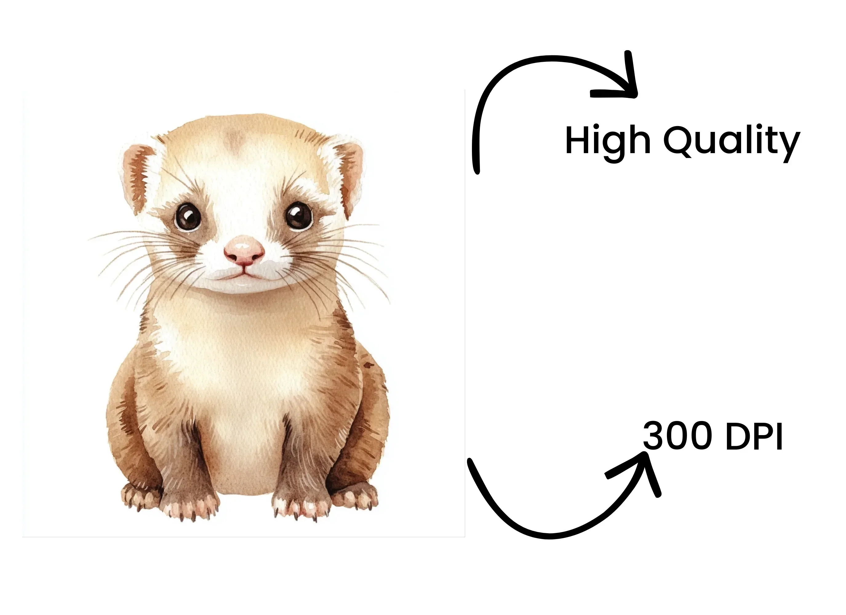Adorable Ferret Clipart Bundle - Image 4