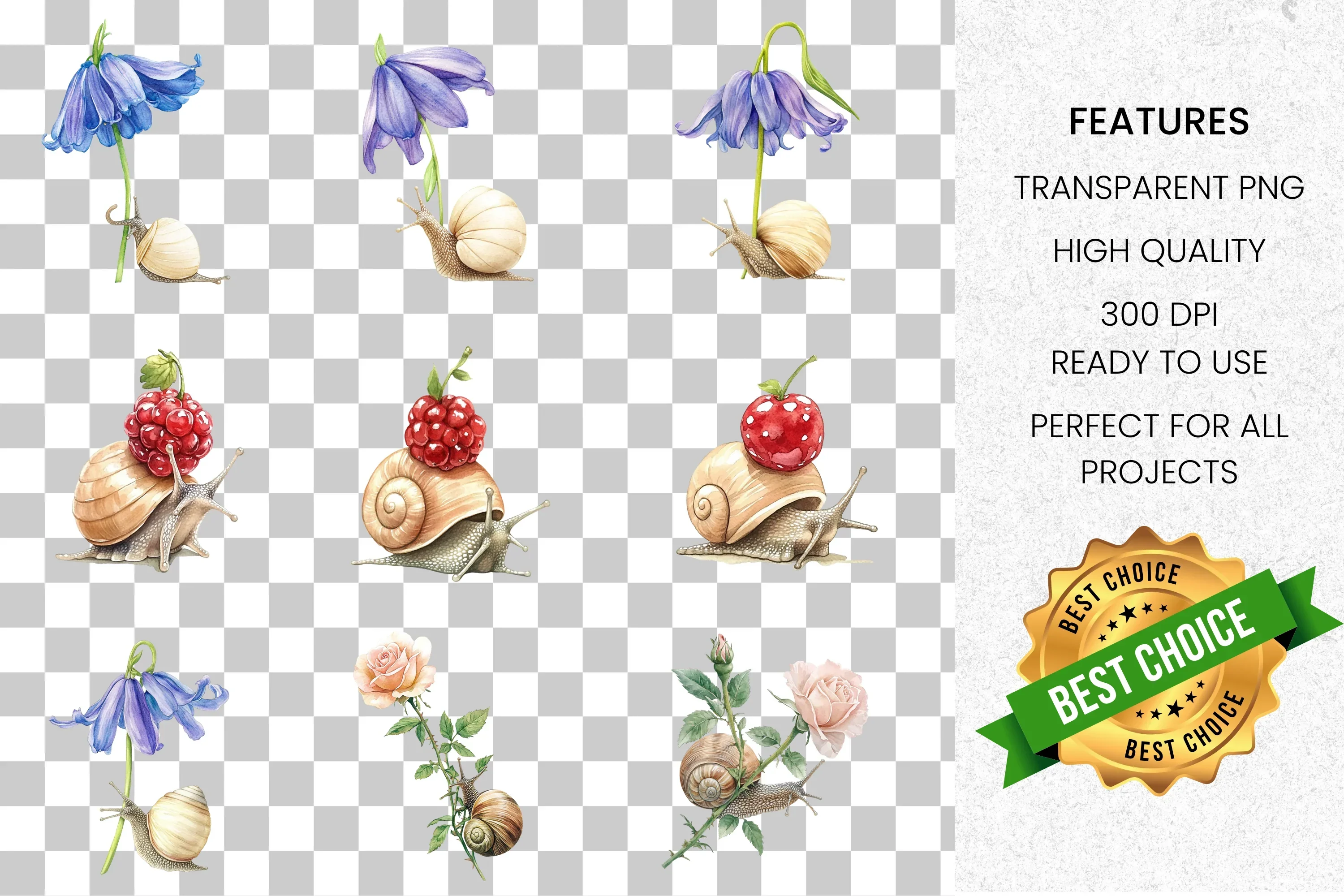 Adorable Snails with Blossoms and Fruit Clipart Bundle - Image 2