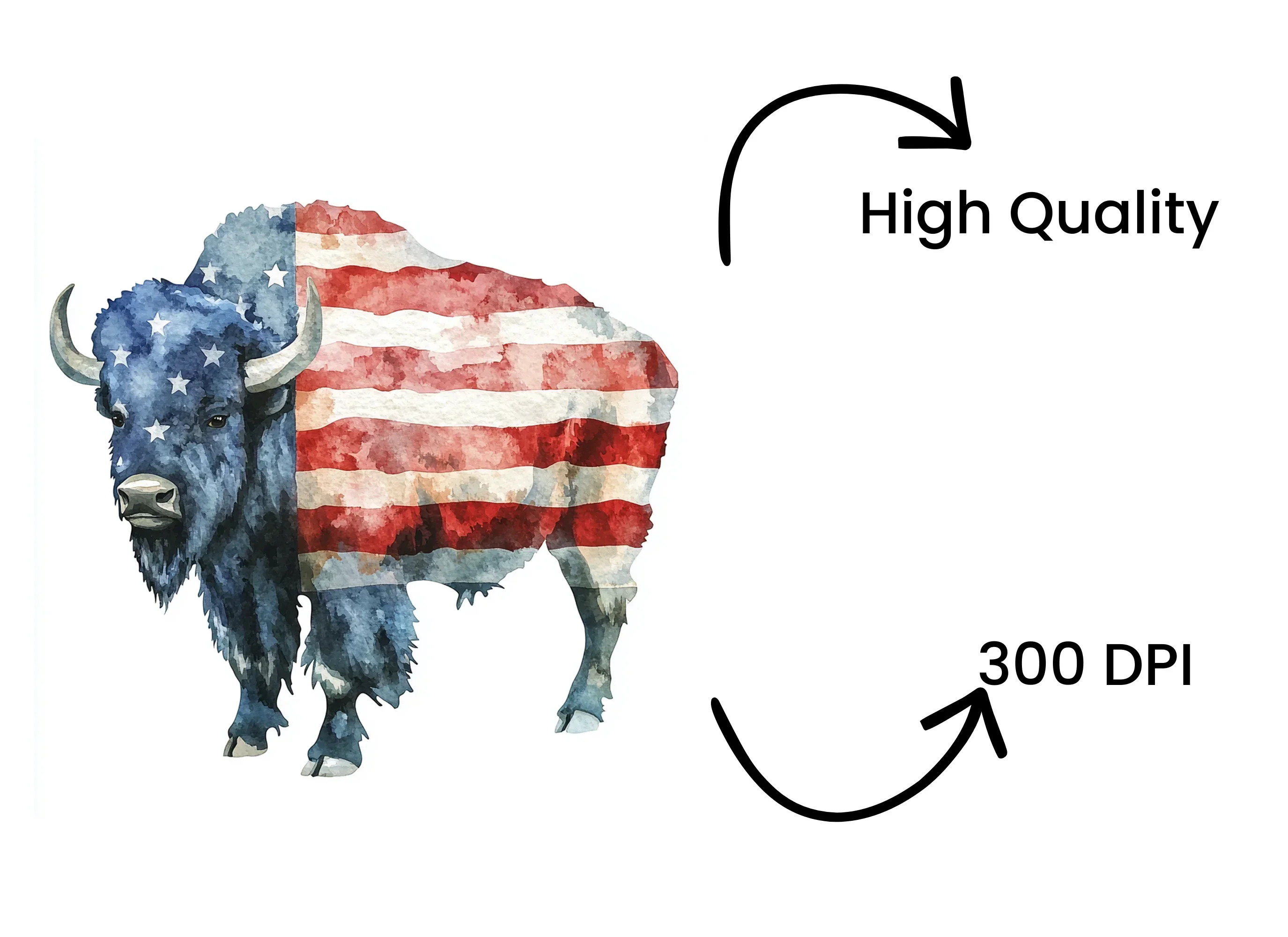 American Bison Flag Clipart Bundle - Image 4