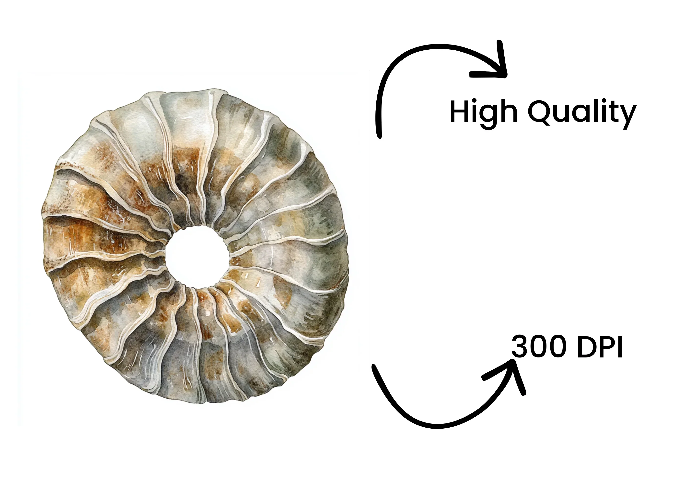 Ammonite Fossil Clipart Bundle - Image 4