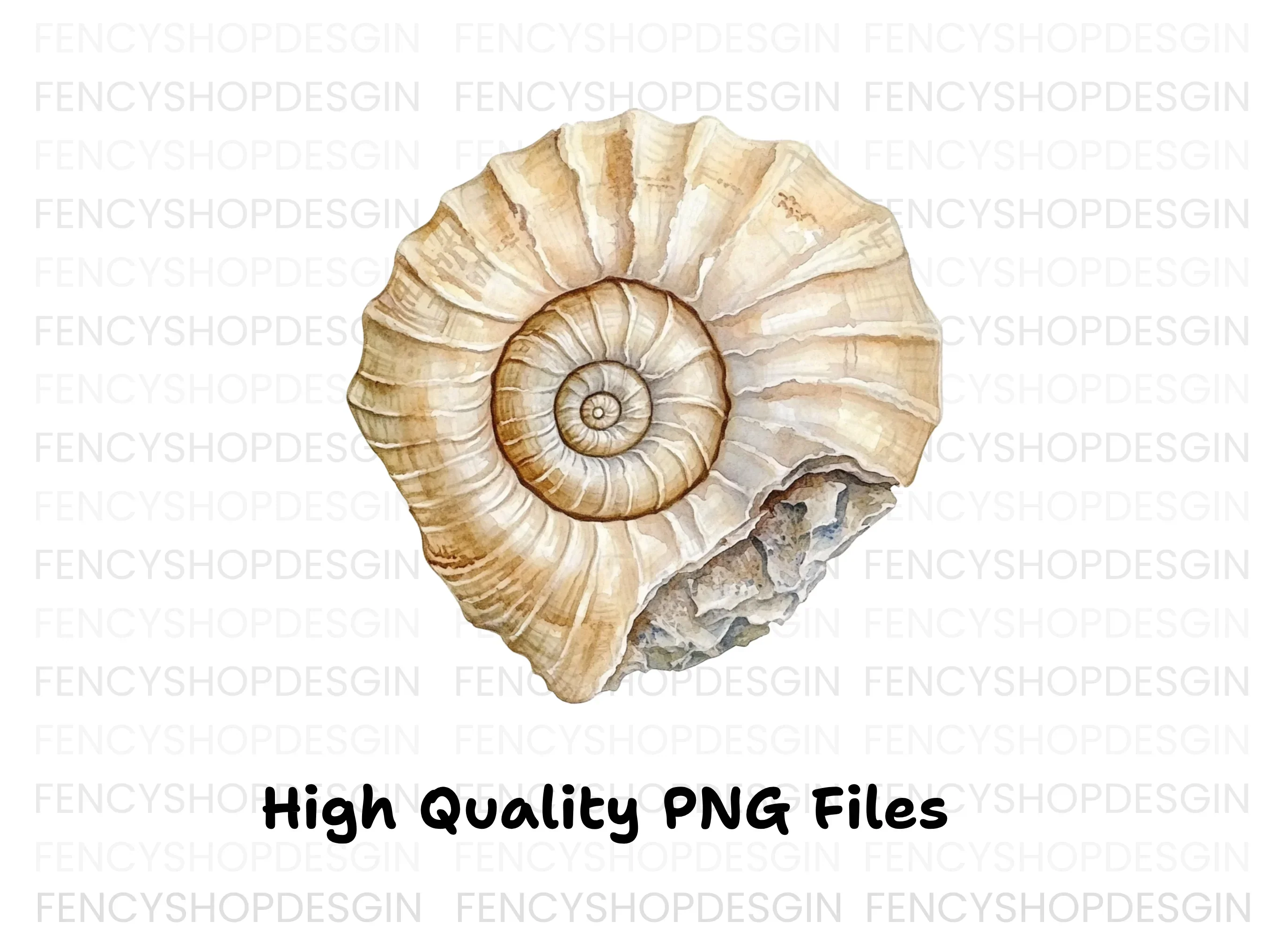 Ammonite Shells Clipart Bundle - Image 3