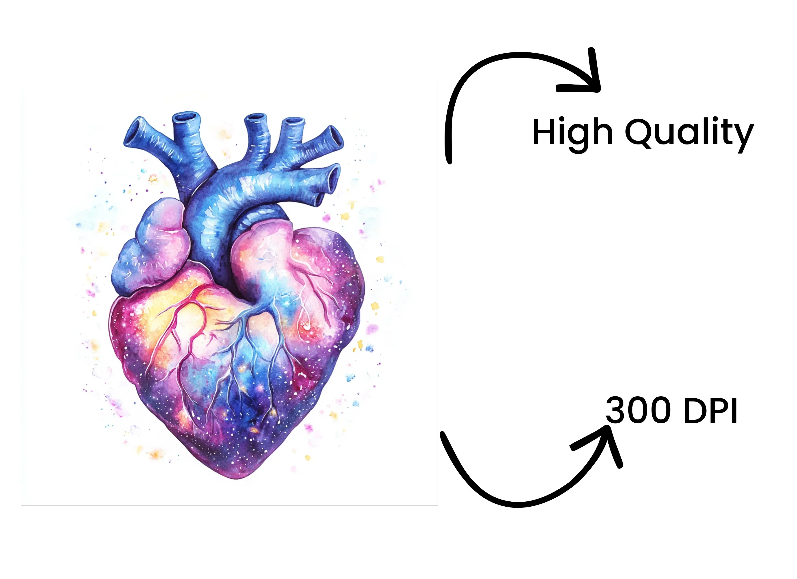 Anatomical Galaxy Heart Clipart Bundle - Image 4