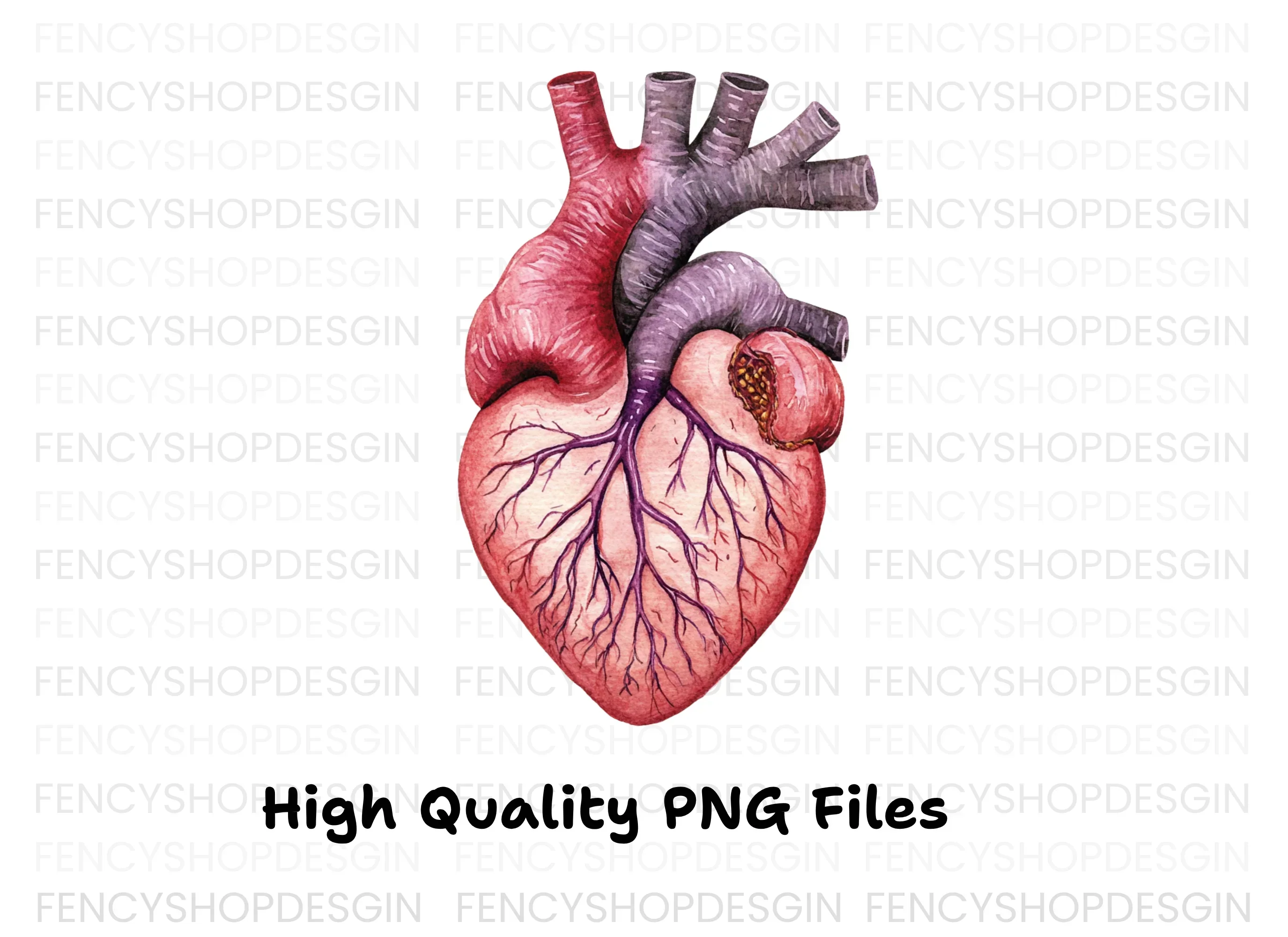 Anatomical Human Heart Clipart Bundle - Image 3