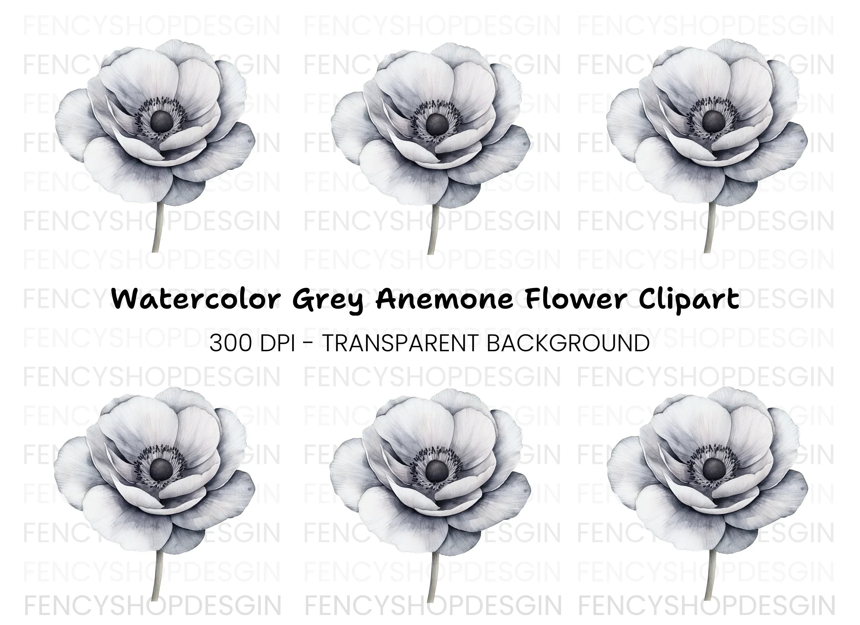 Anemone Clipart Bundle