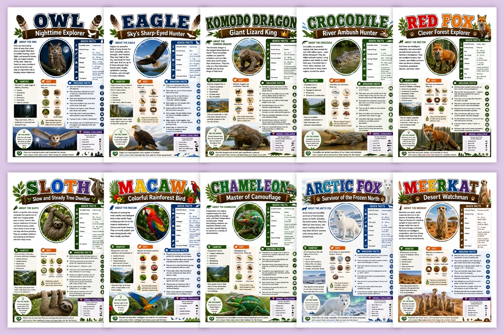 Animal Discovery Adventures - Image 3