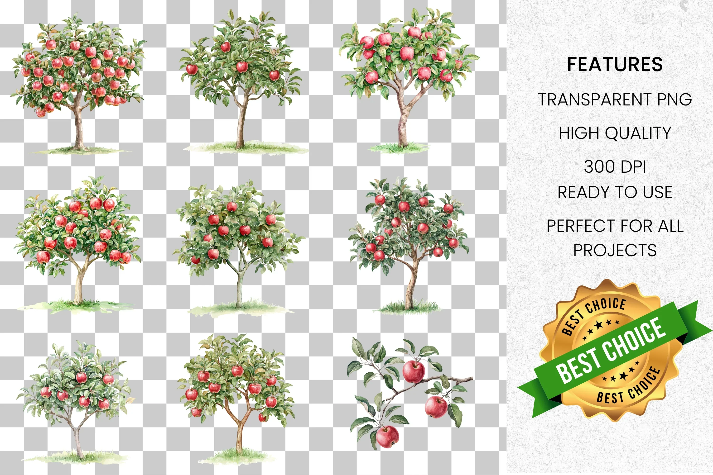 Apple Tree Branch Clipart Bundle - Image 2