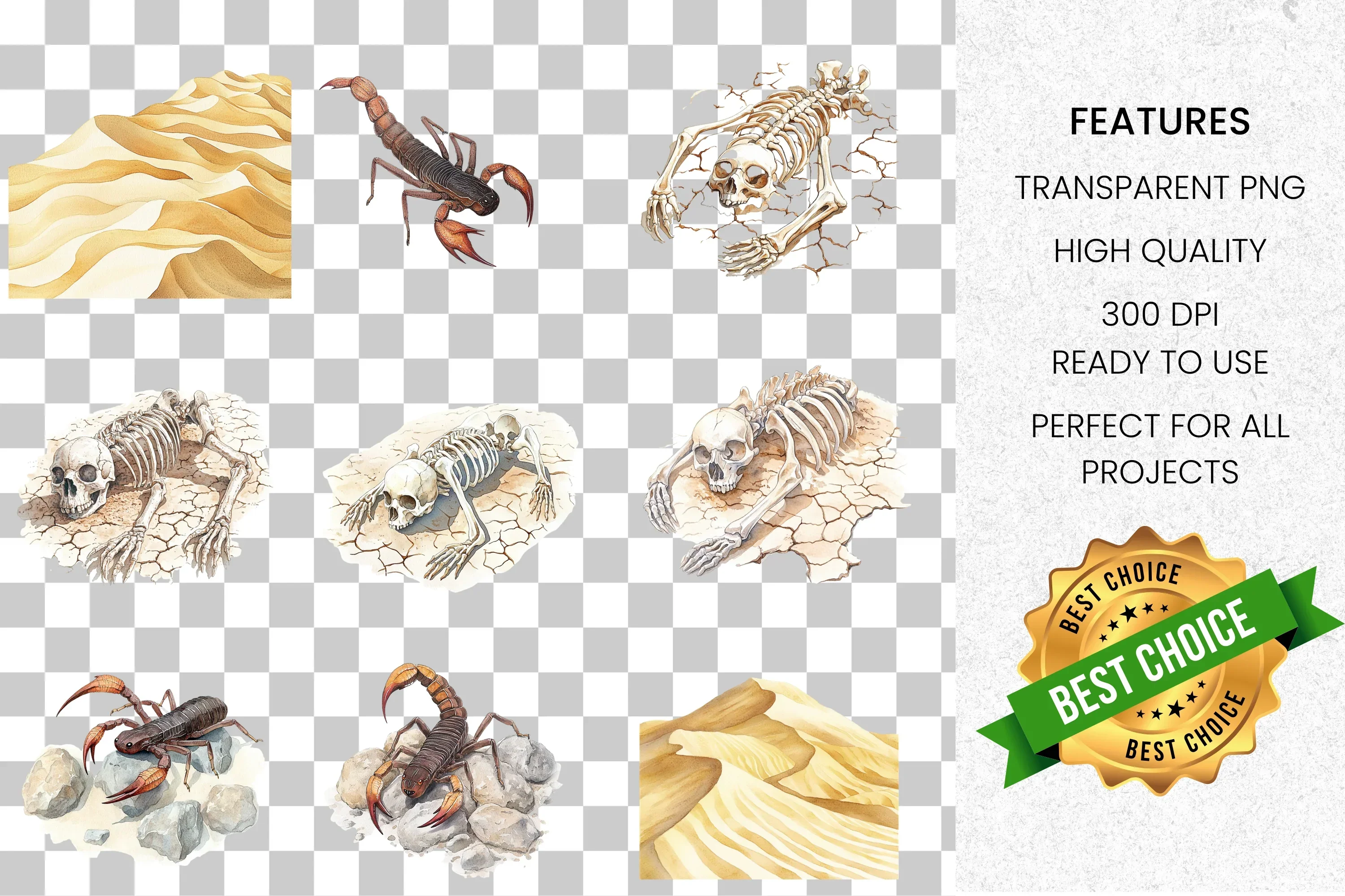Arid Desert Wildlife Scenery Clipart Bundle - Image 2