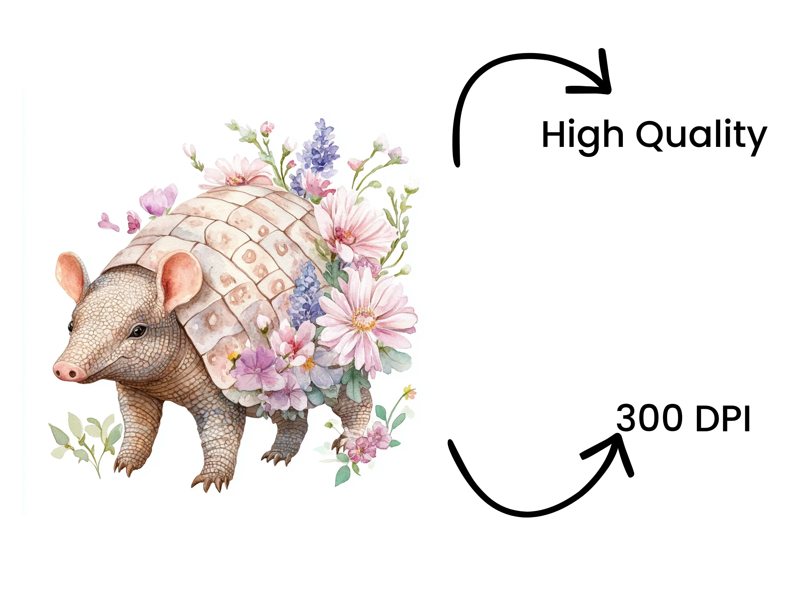 Armadillo Clipart Bundle - Image 4