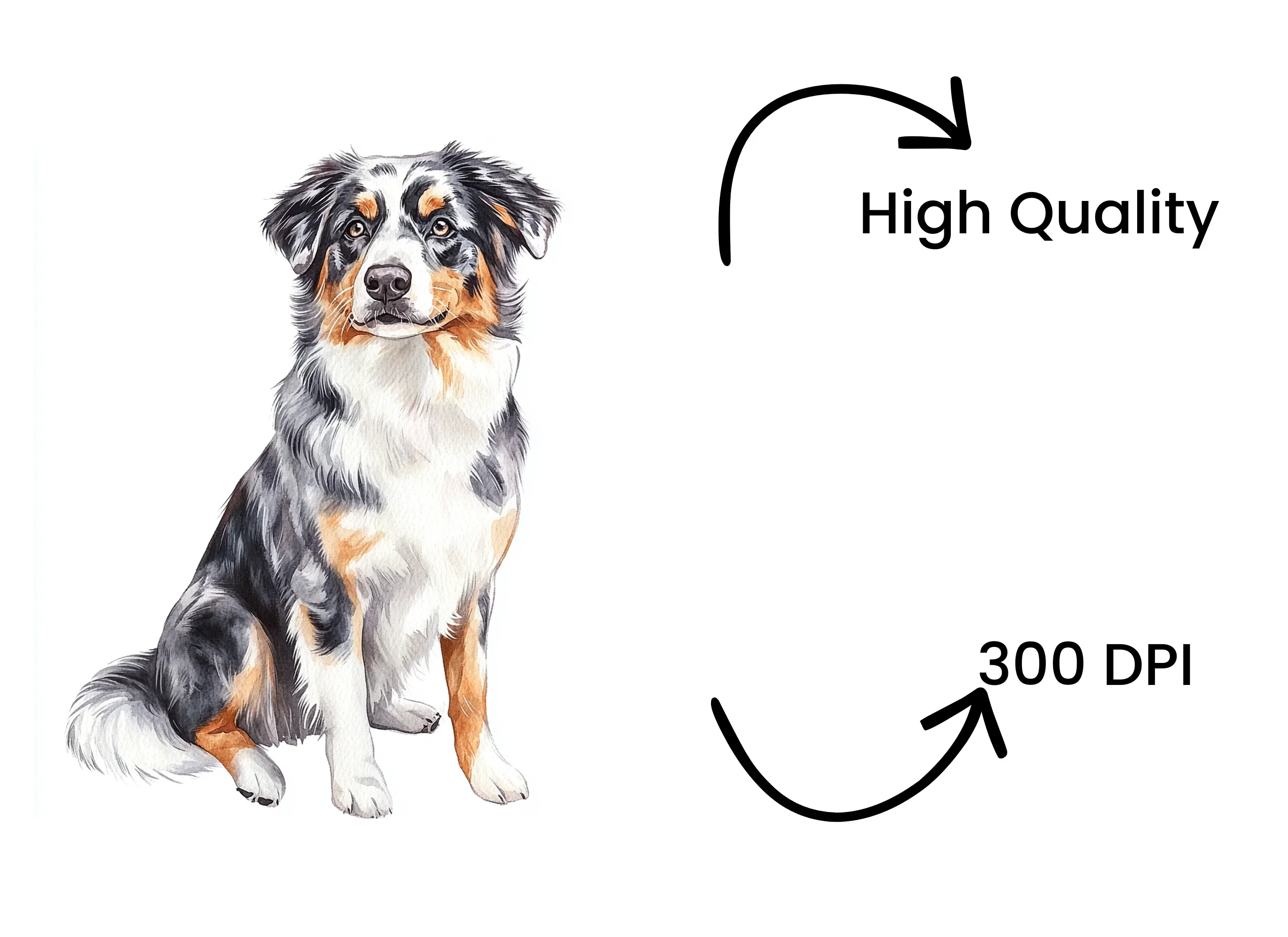 Australian Shepherd Clipart Bundle - Image 4