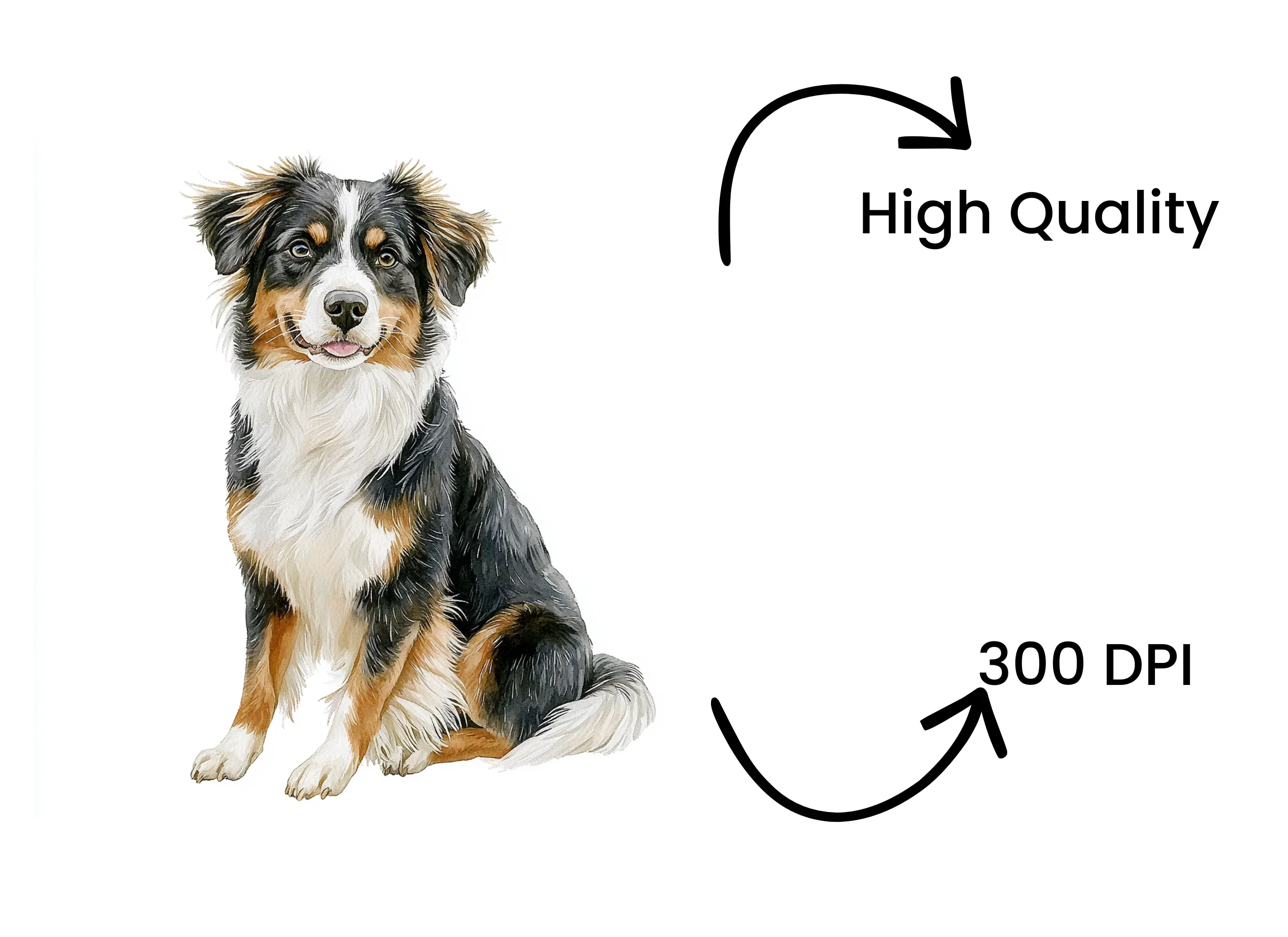 Australian Shepherd Dog Clipart Bundle - Image 4