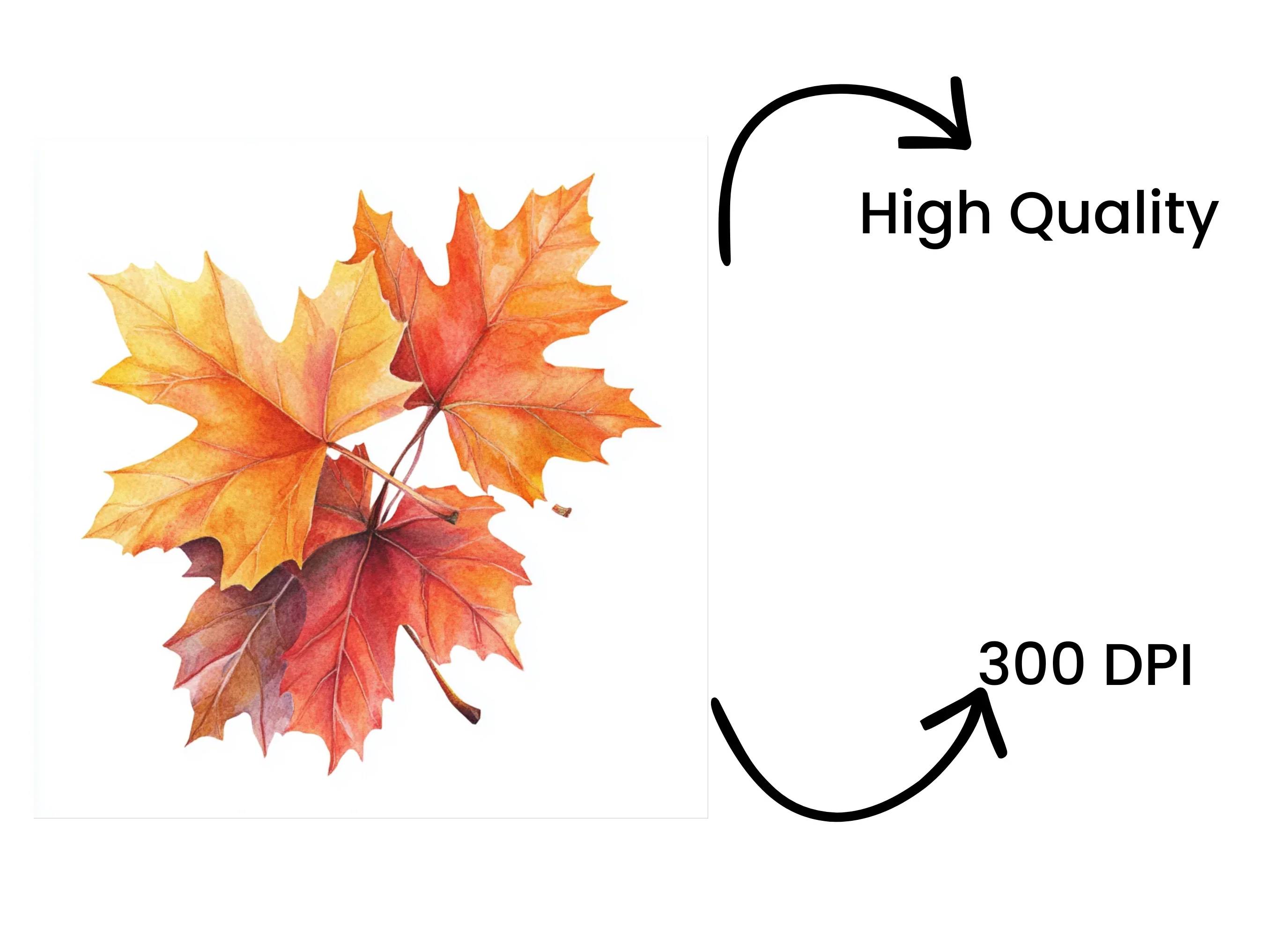 Autumn Leaves Clipart Bundle - Image 4