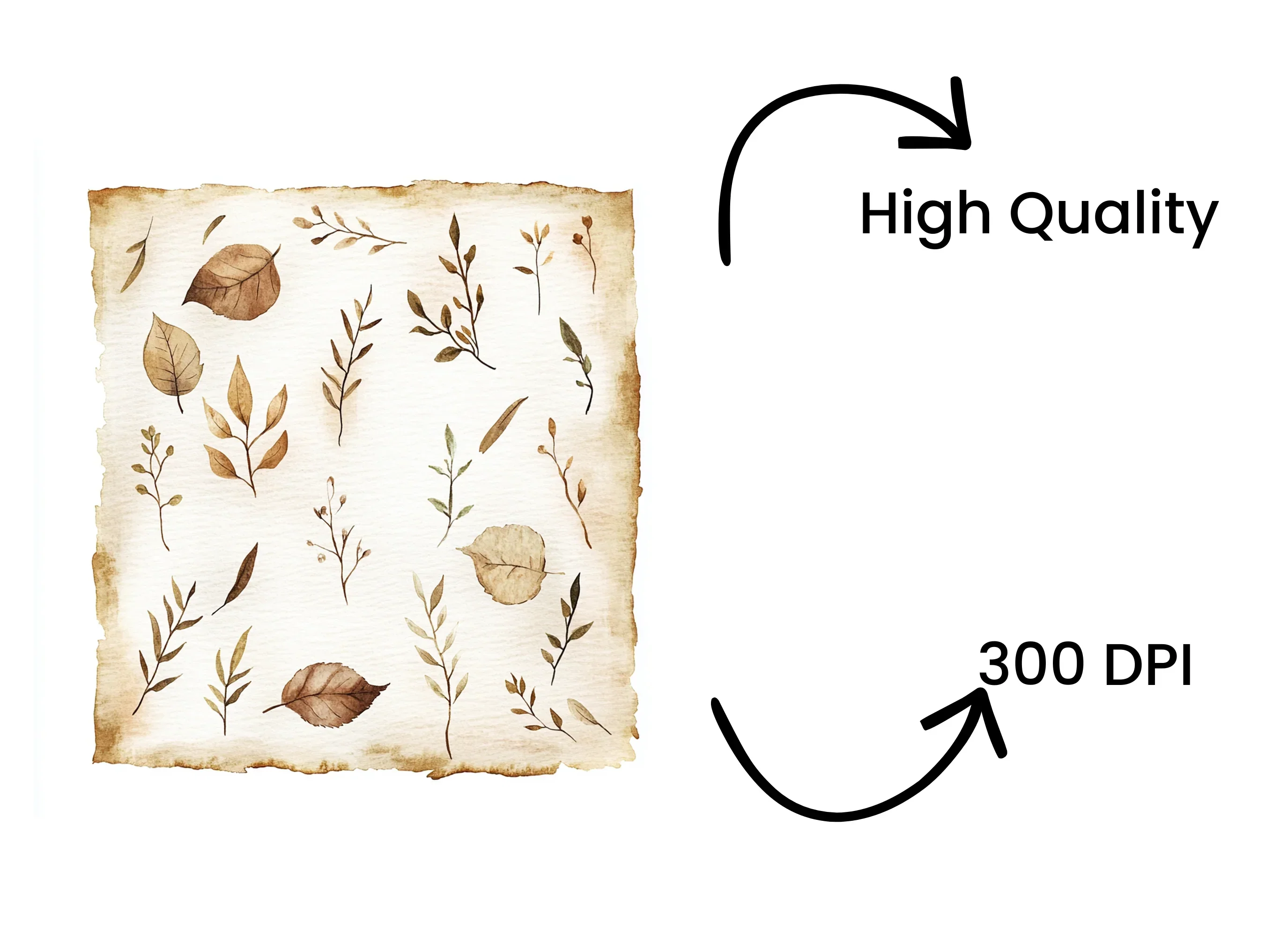 Autumn Leaves Clipart Bundle - Image 4