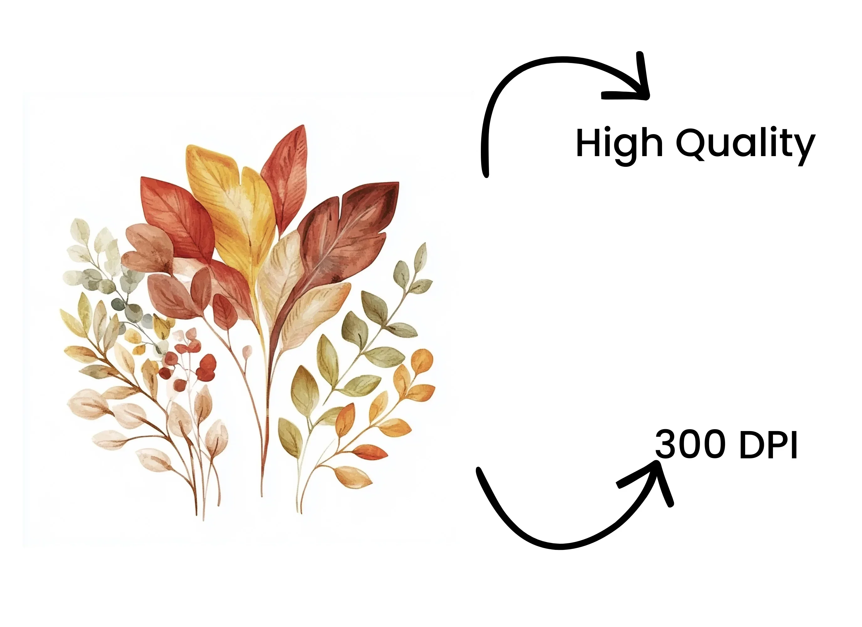 Autumn Leaves Clipart Bundle - Image 4