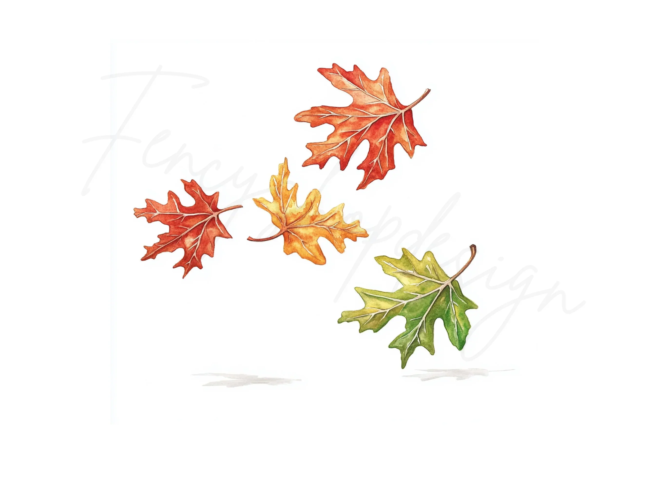 Autumn Oak Leaves Clipart Bundle - Image 3