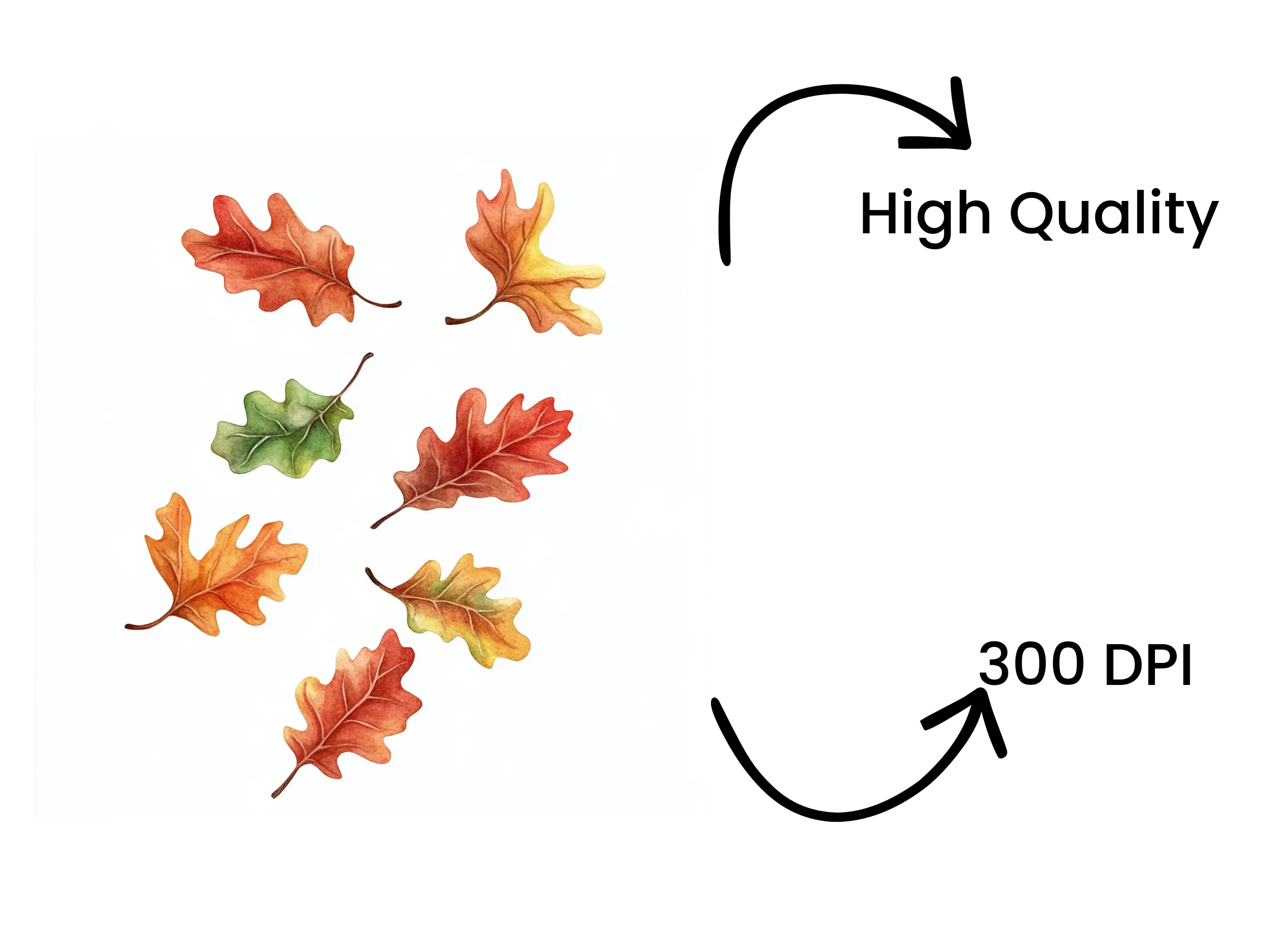 Autumn Oak Leaves Clipart Bundle - Image 4