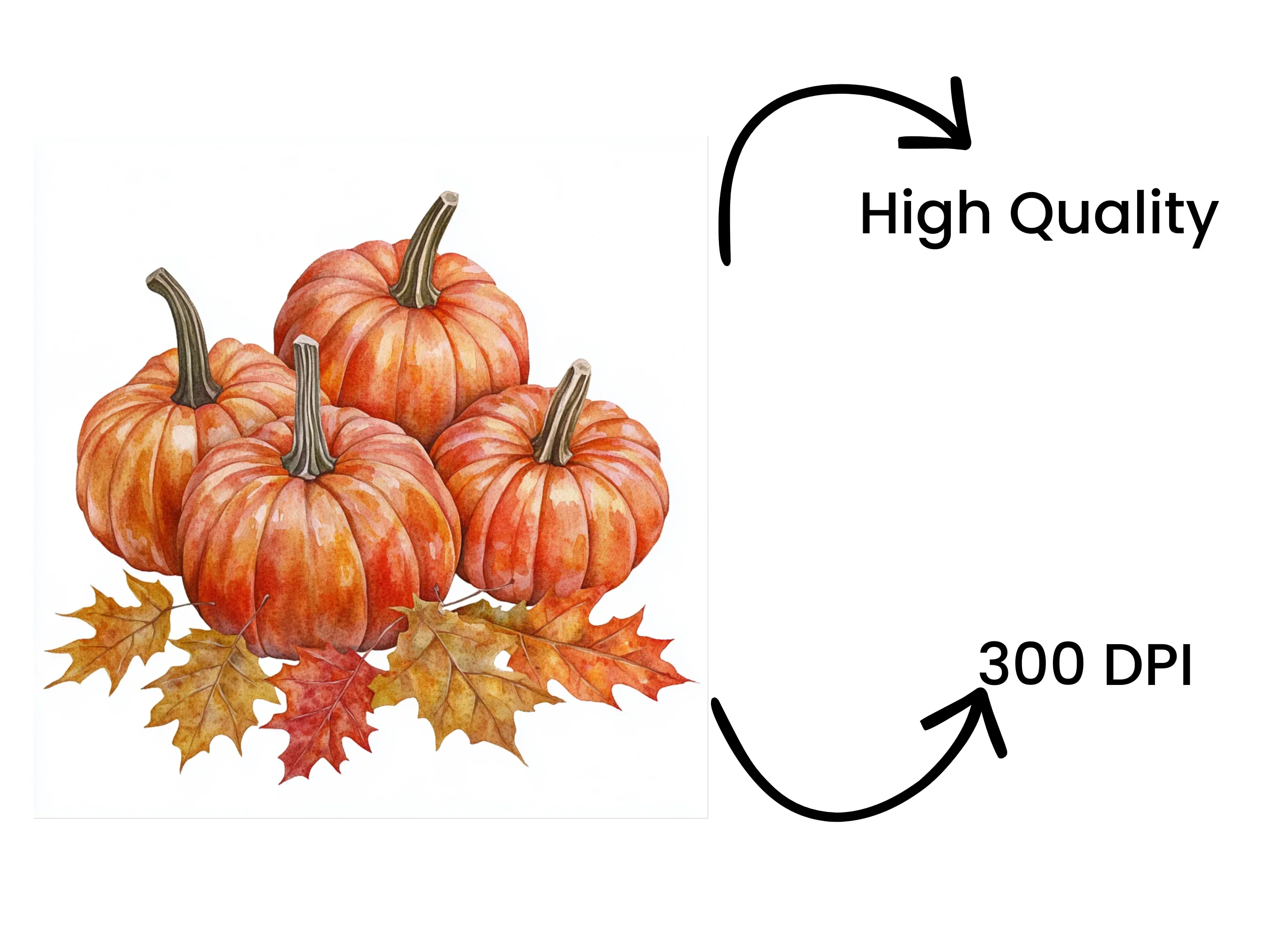 Autumn Pumpkin and Leaves Clipart Bundle - Image 4