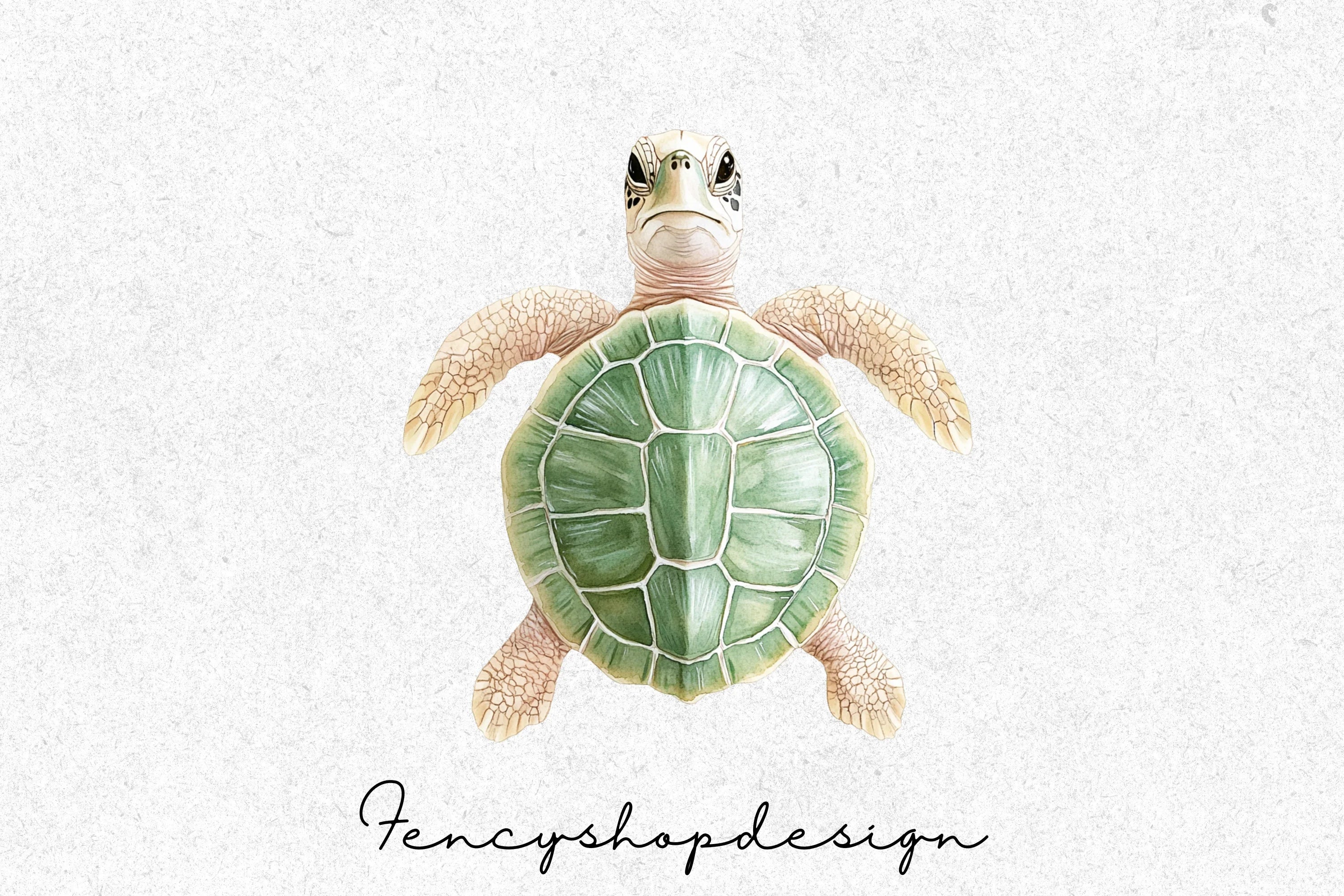 Baby Sea Turtle Clipart Bundle - Image 3