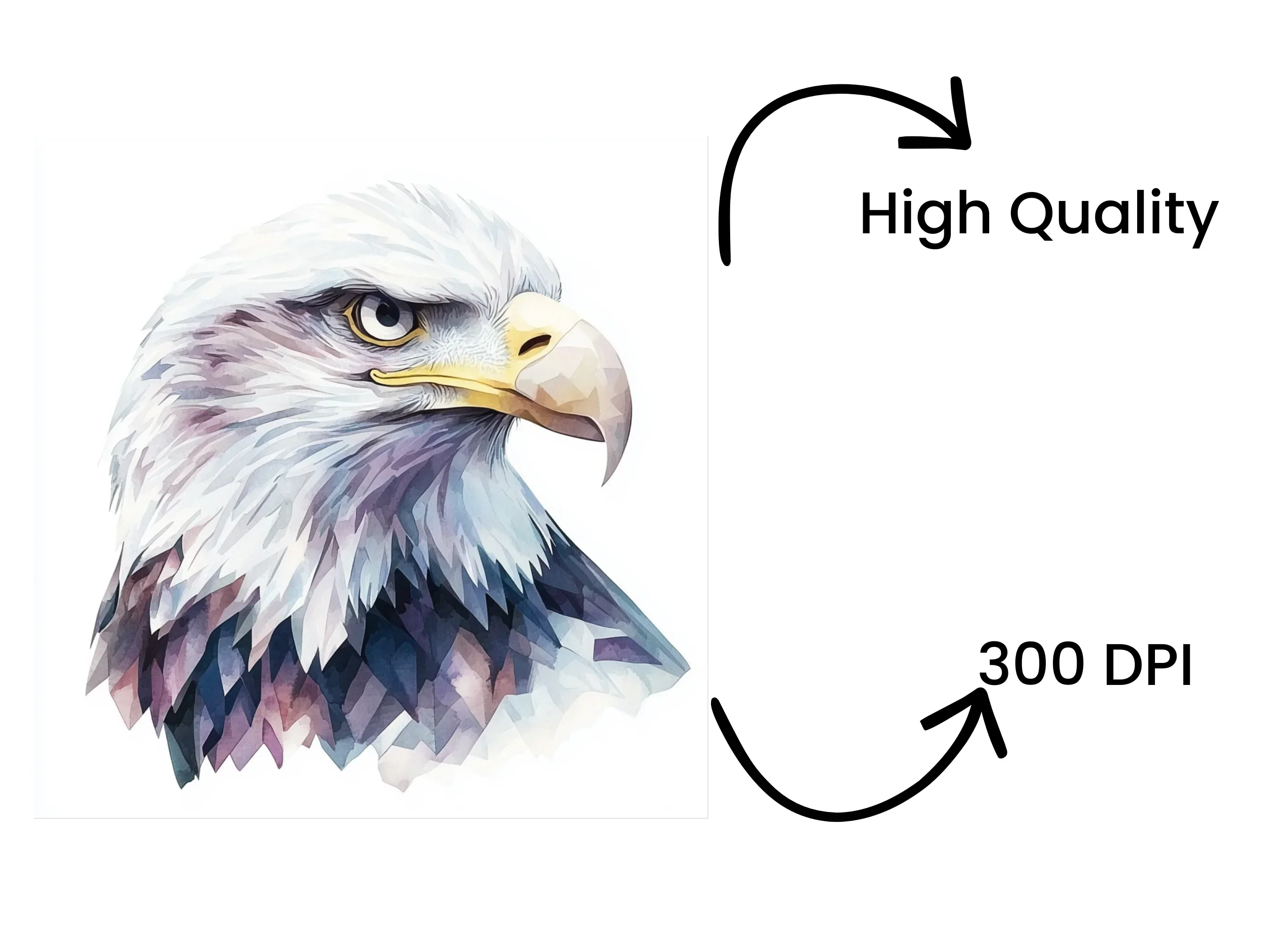 Bald Eagle Head Clipart Bundle - Image 4