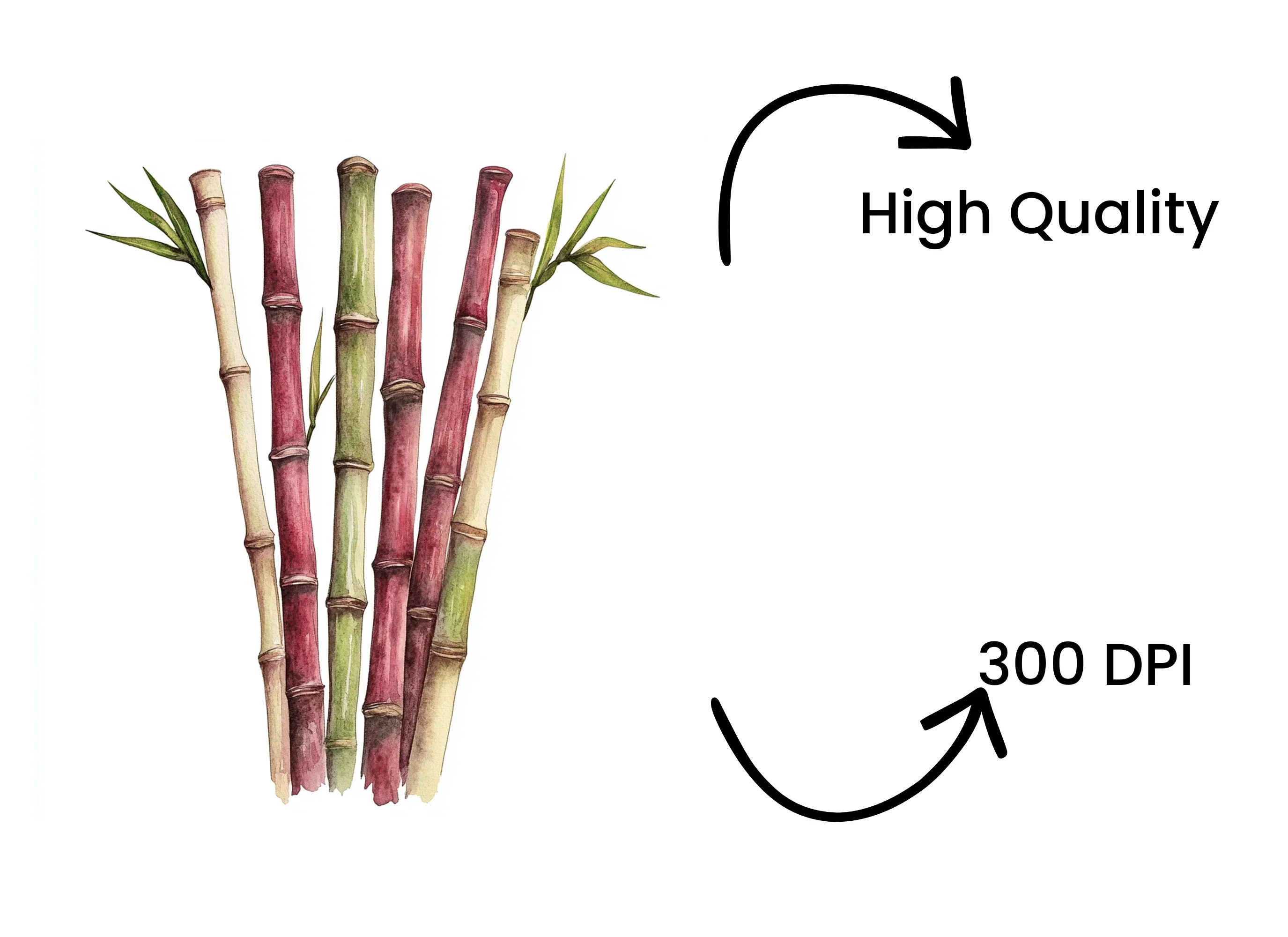 Bamboo Stalks Clipart Bundle - Image 4