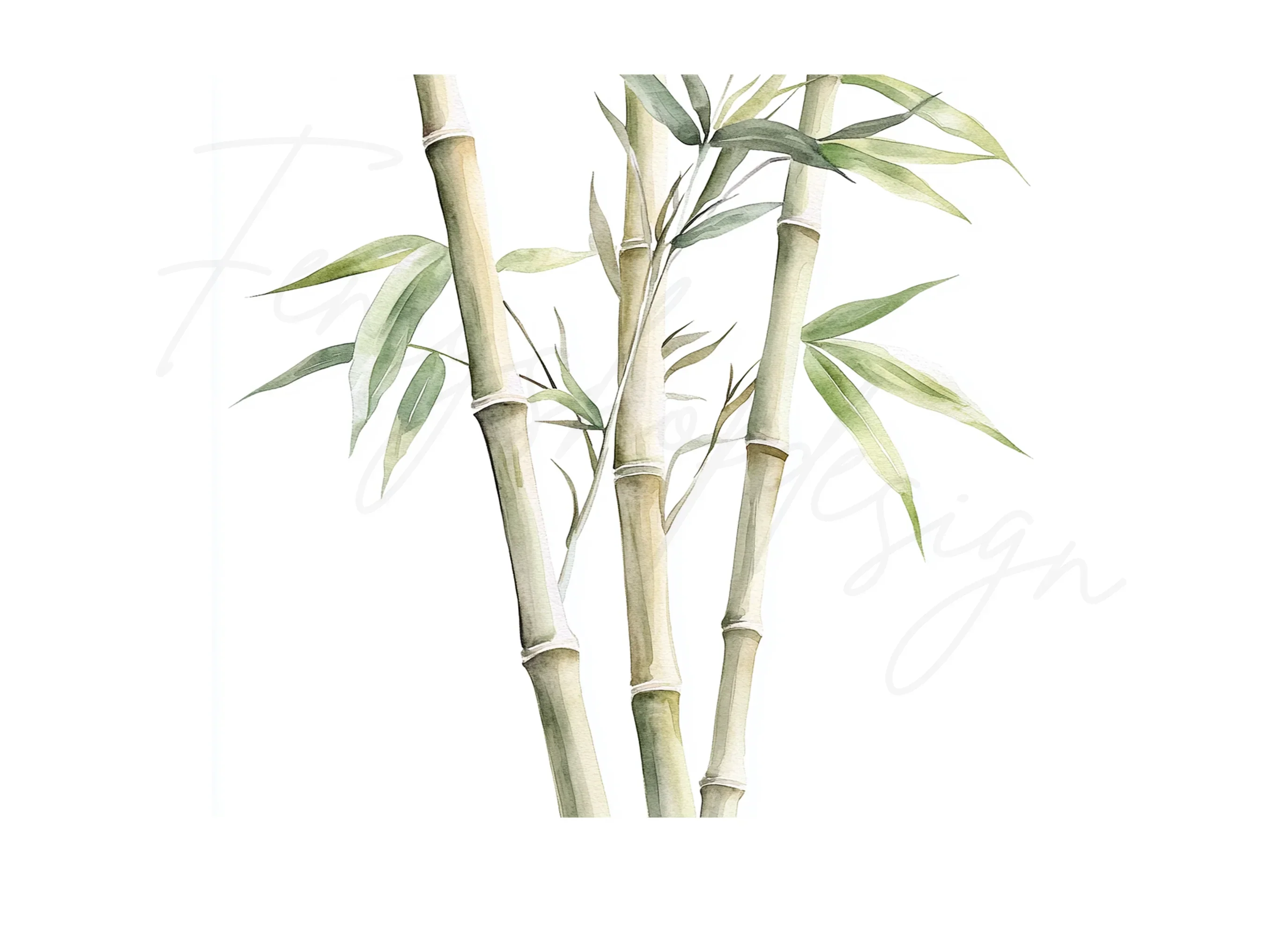 Bamboo Stalks Clipart Bundle - Image 2
