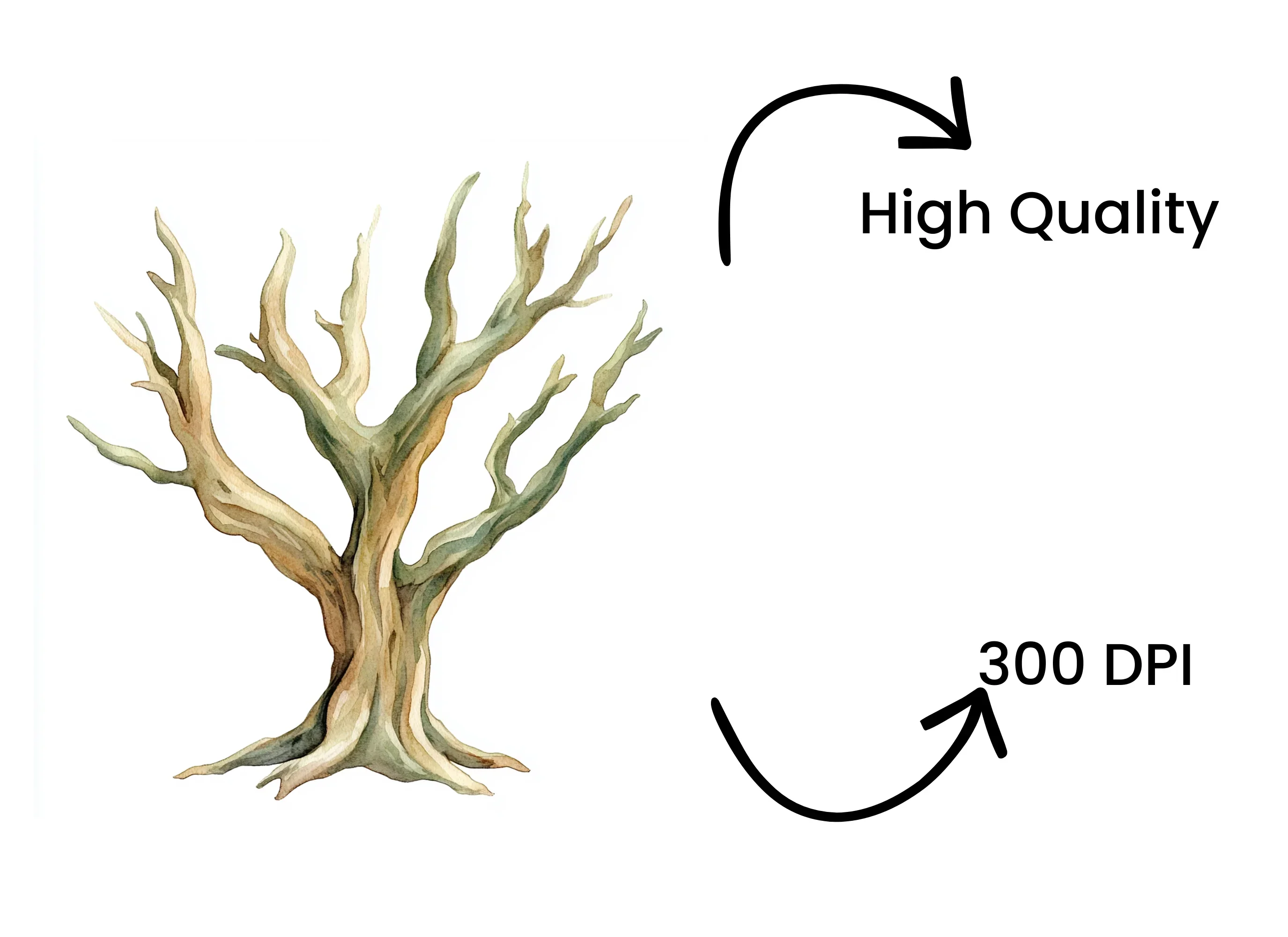 Bare Tree Clipart Bundle - Image 4