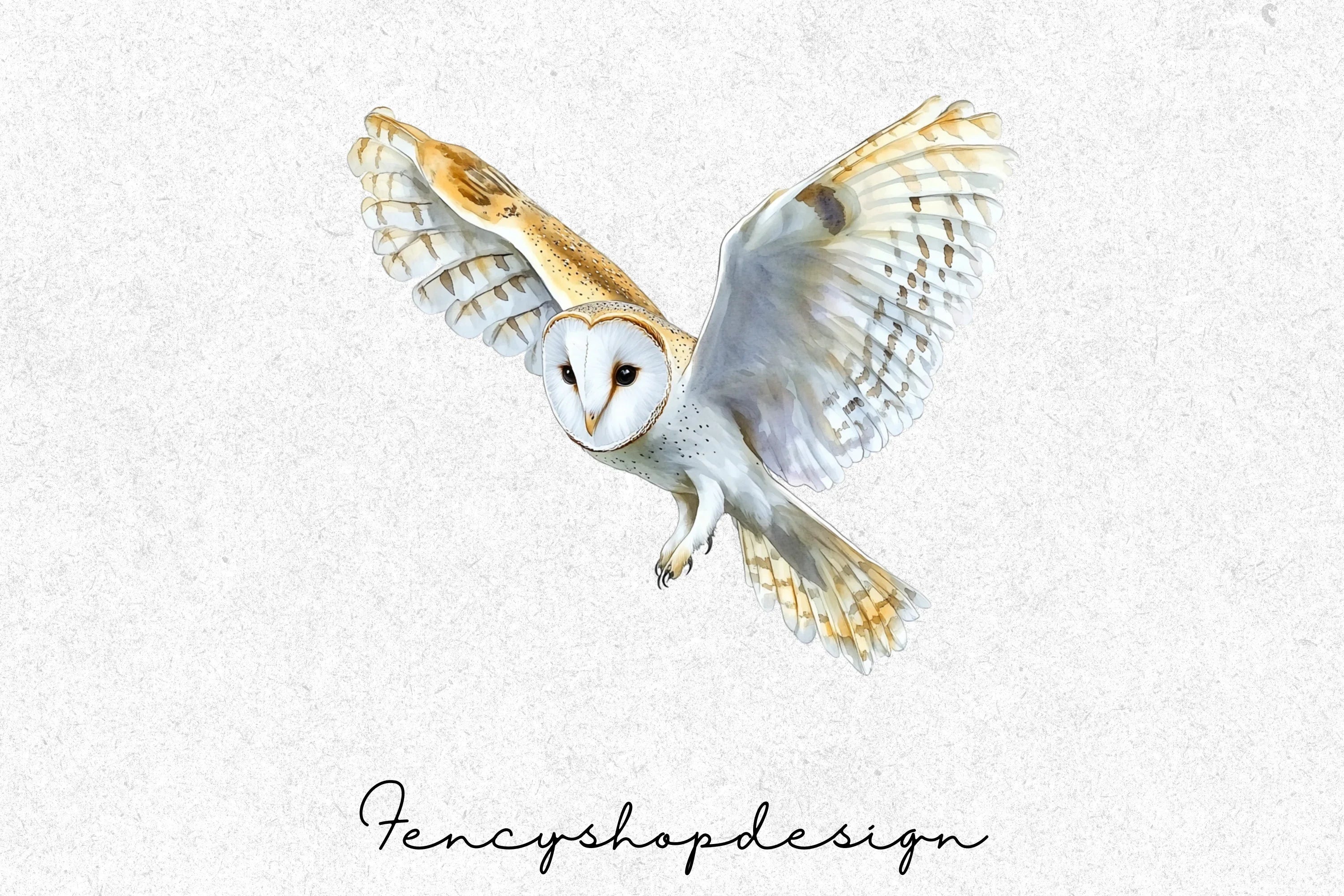 Barn Owl Flying Clipart Bundle - Image 4