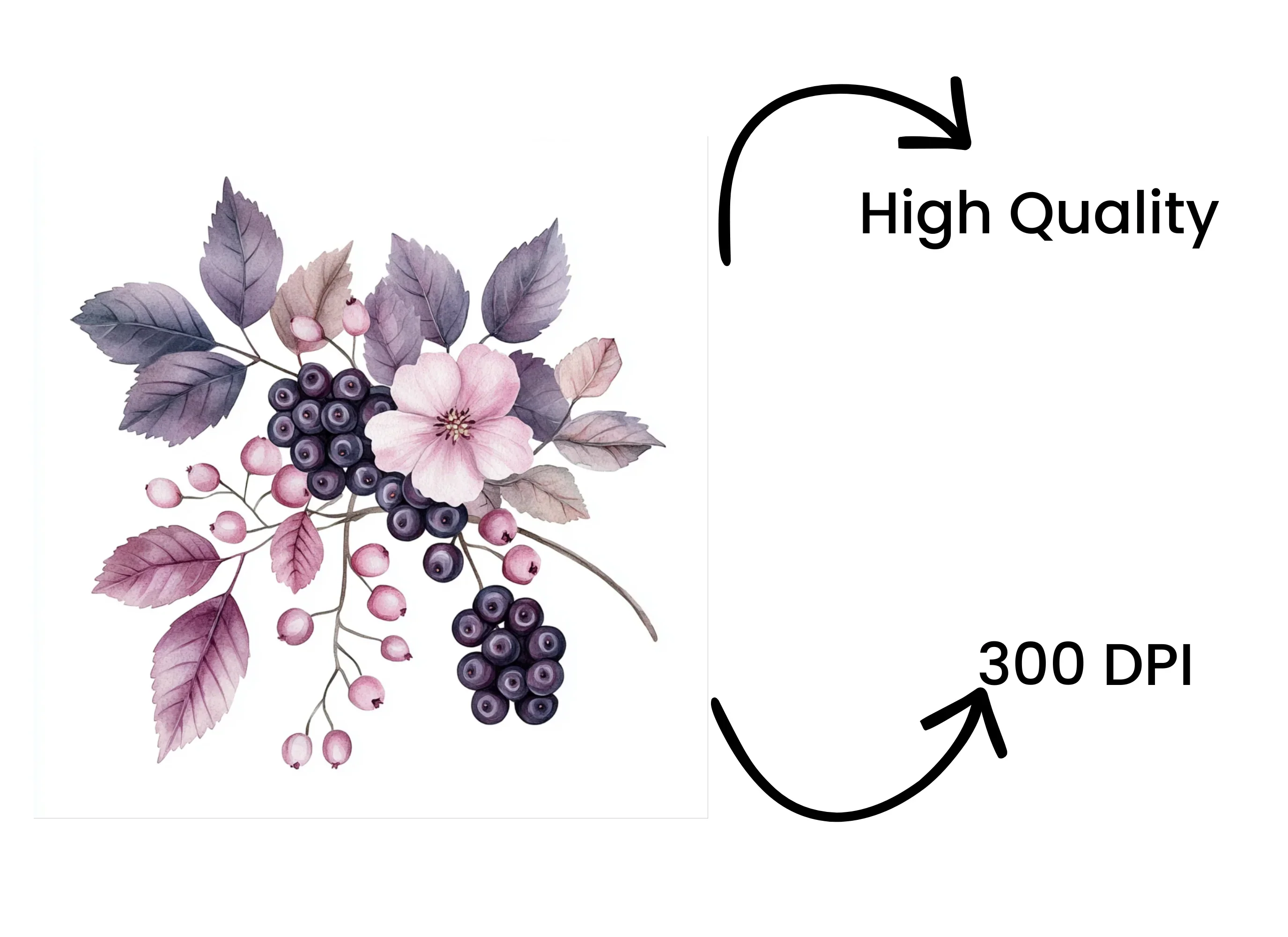 Berry Floral Clipart Bundle - Image 4