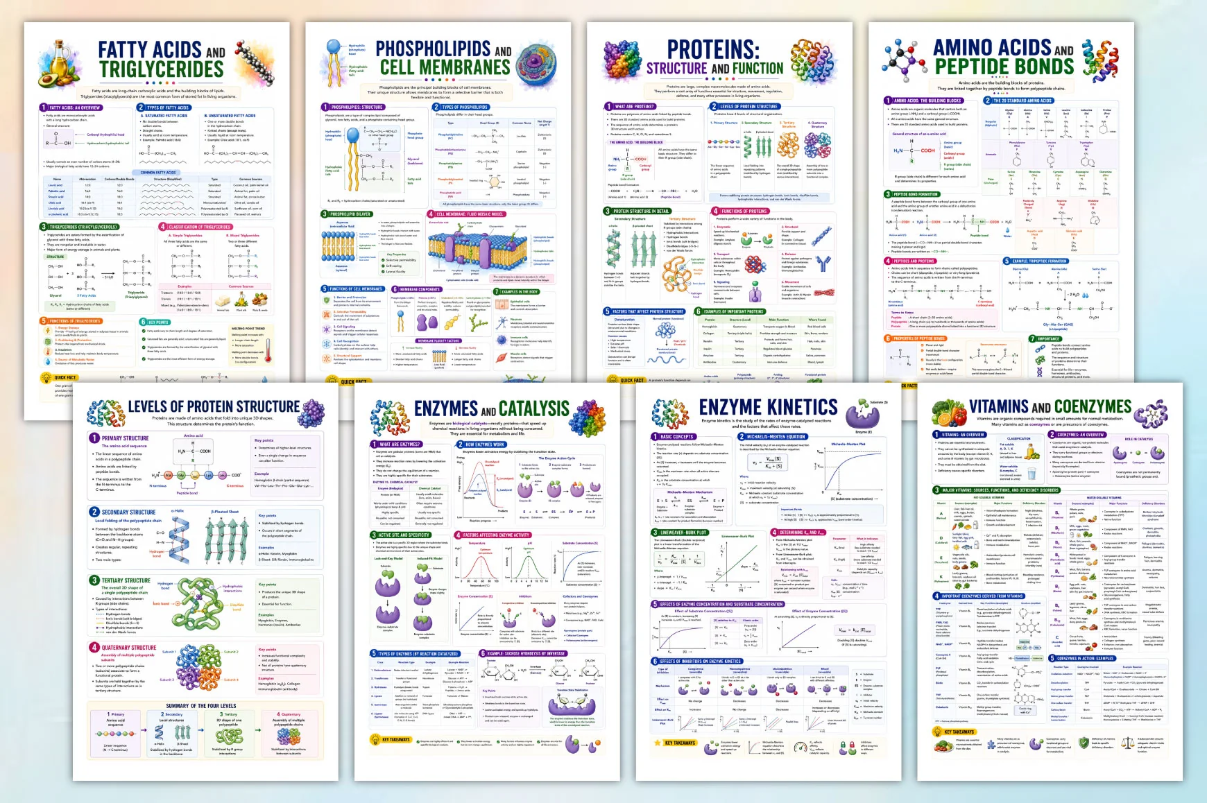 Biochemistry Study Notes Review Guide - Image 2