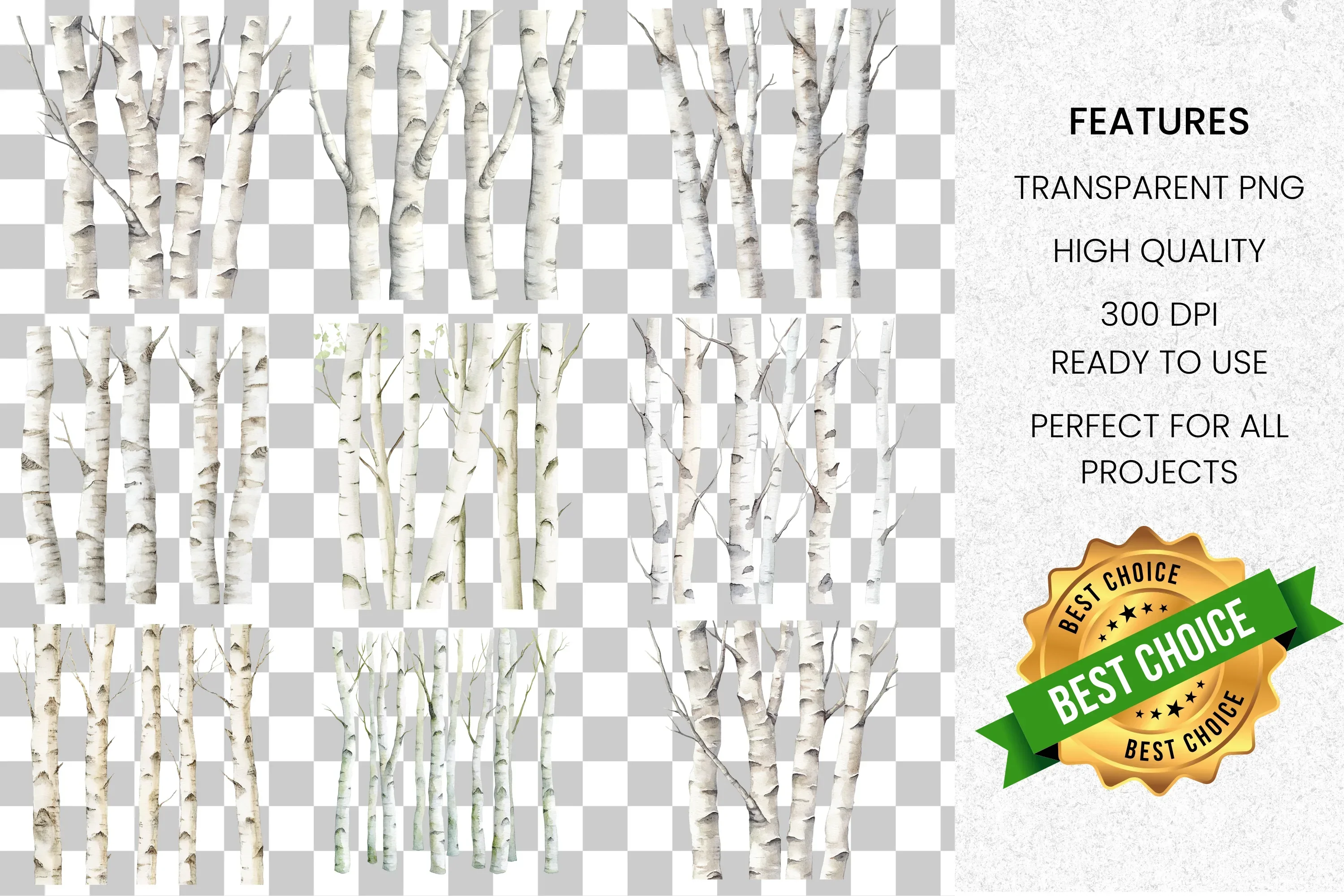 Birch Trees Forest Clipart Bundle - Image 2