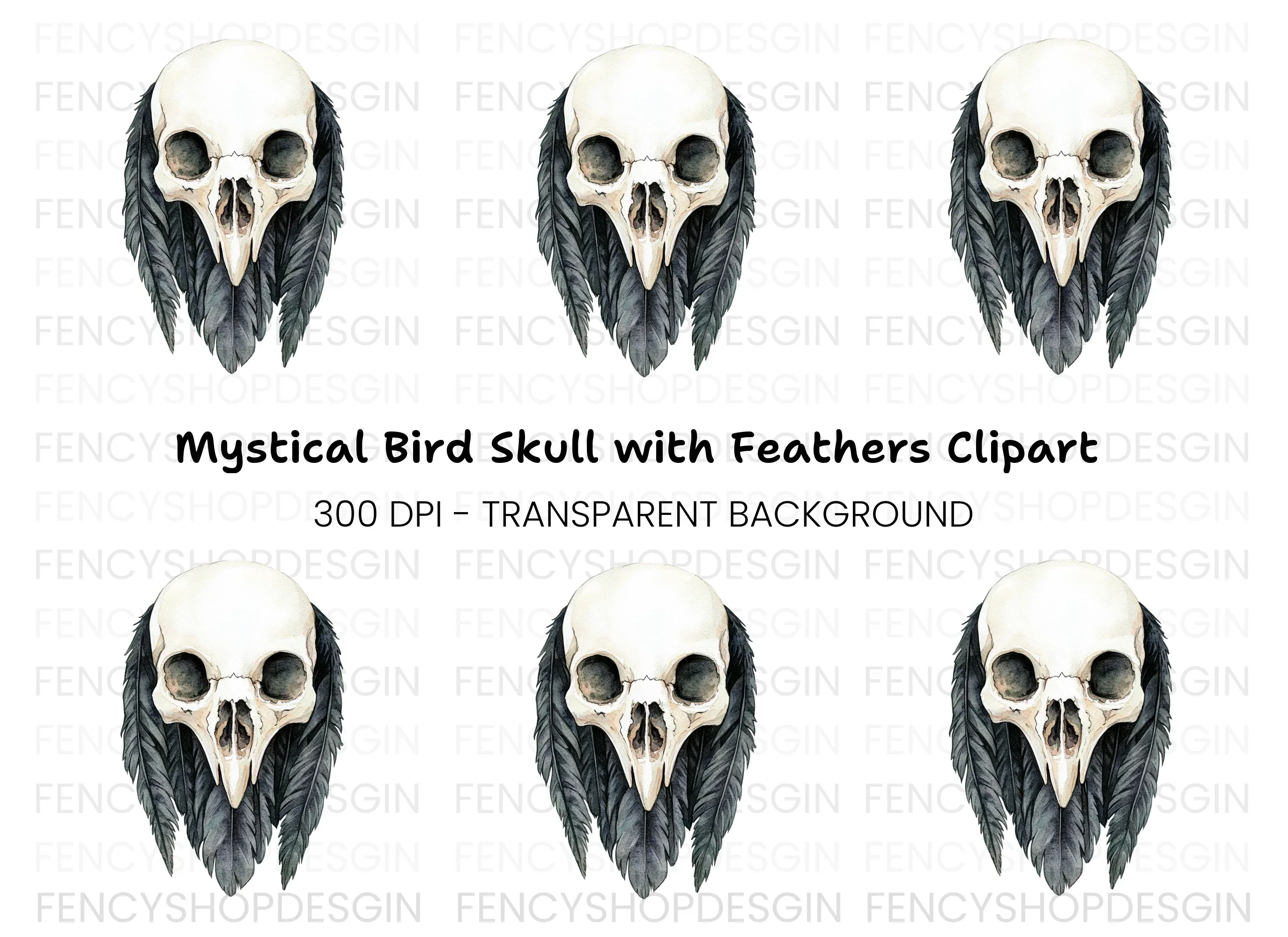 Bird Skull with Feathers Clipart Bundle