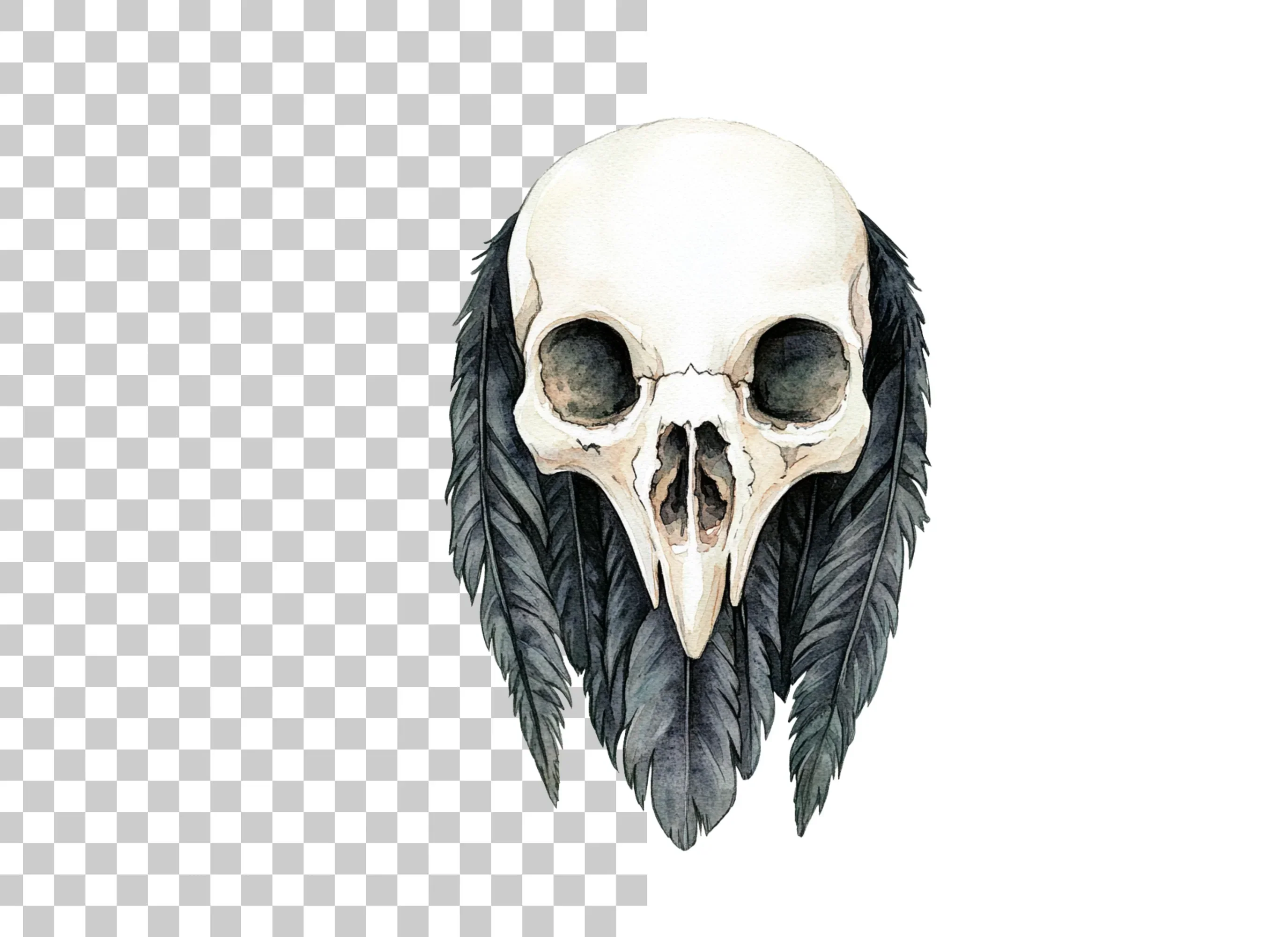 Bird Skull with Feathers Clipart Bundle - Image 6