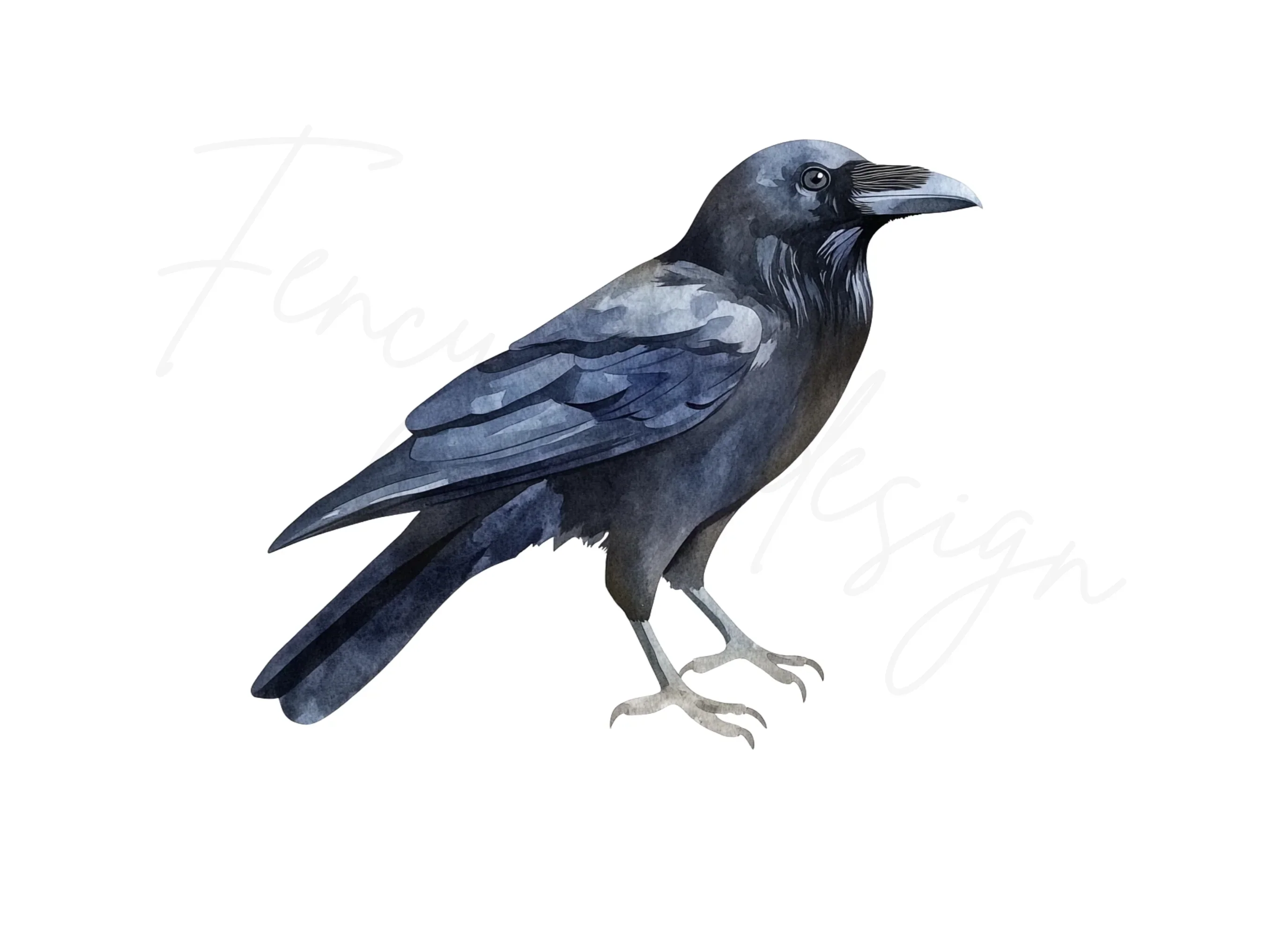 Black Crow Bird Clipart Bundle - Image 3