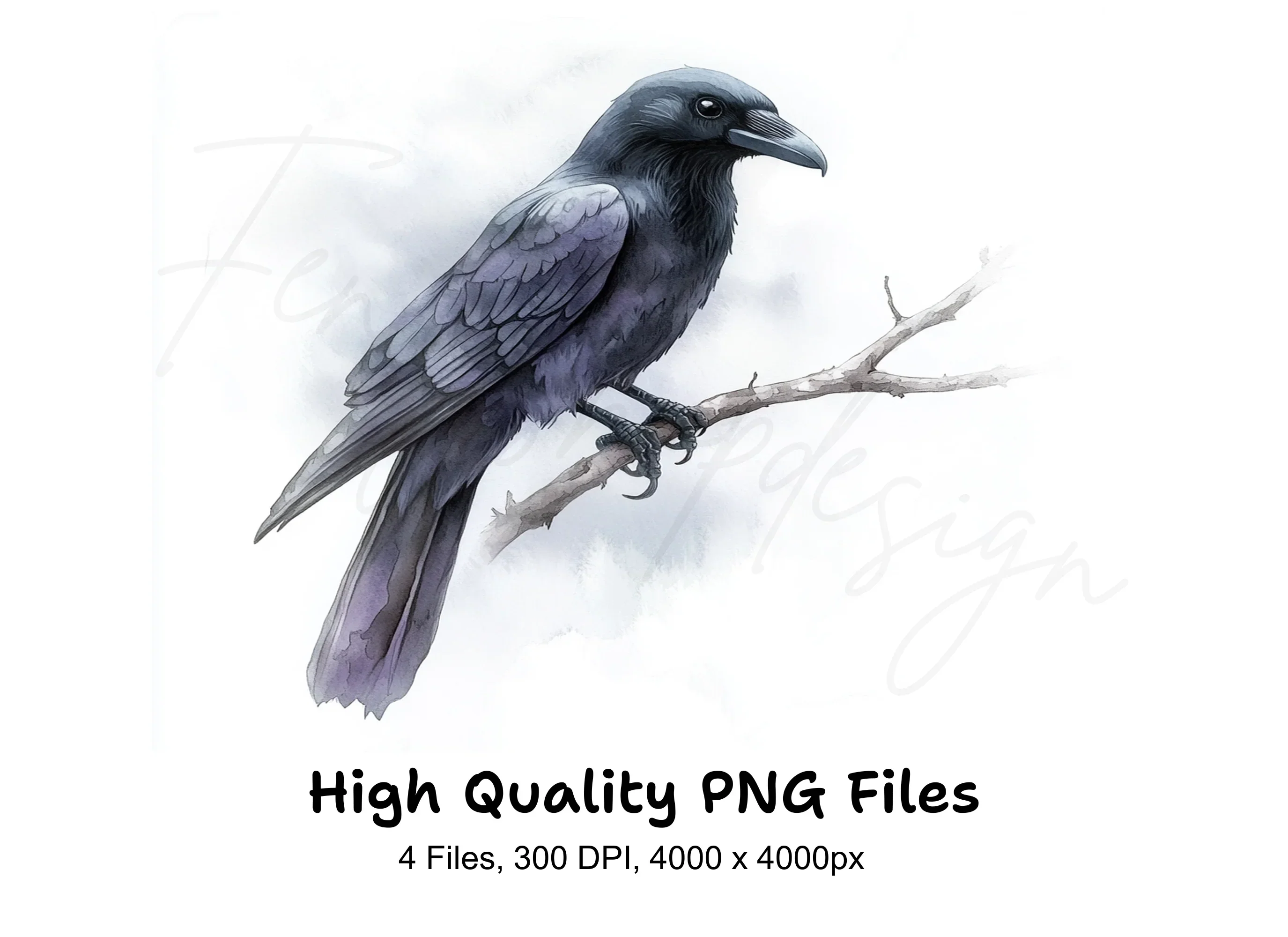 Black Crow Bird Clipart Bundle
