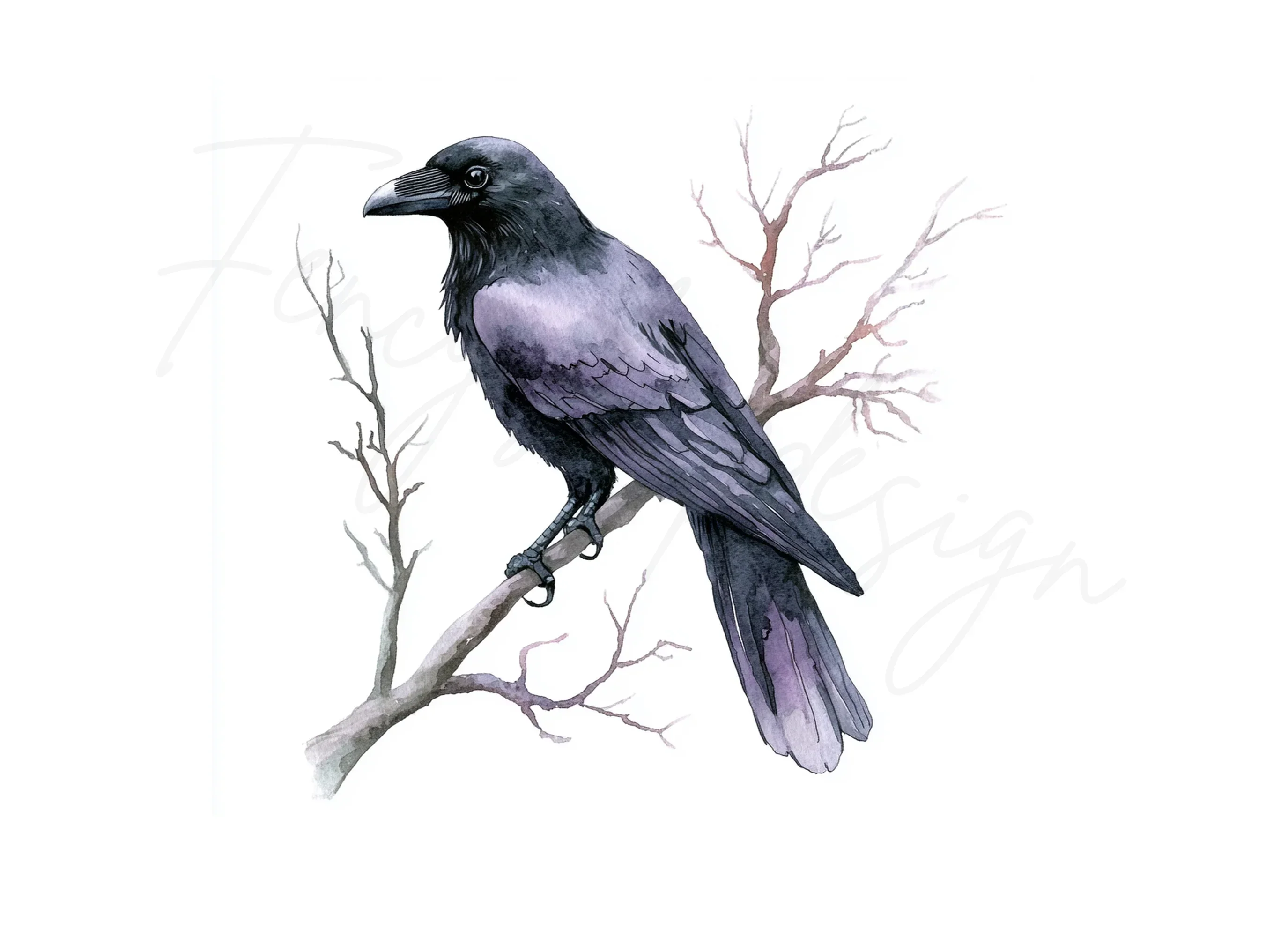 Black Crow Bird Clipart Bundle - Image 3