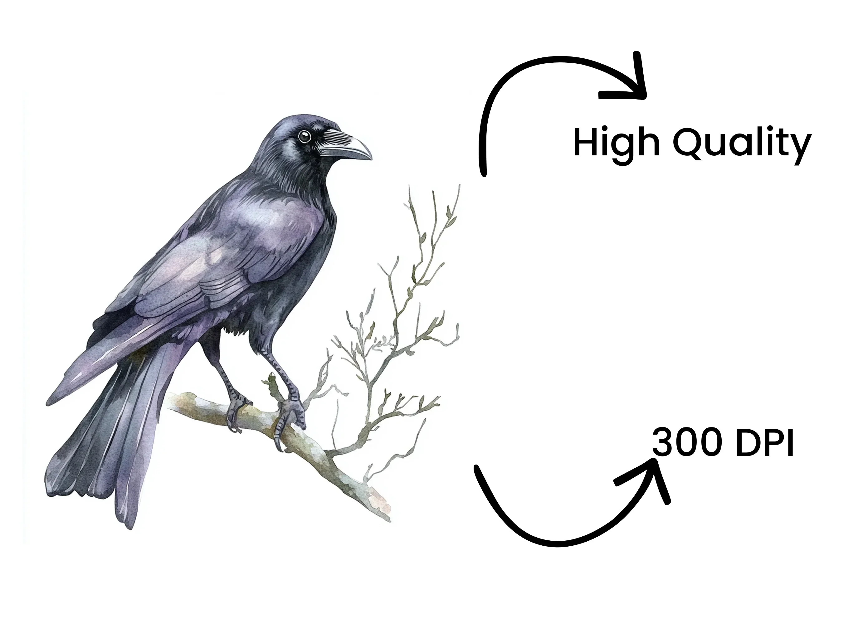 Black Crow Bird Clipart Bundle - Image 4