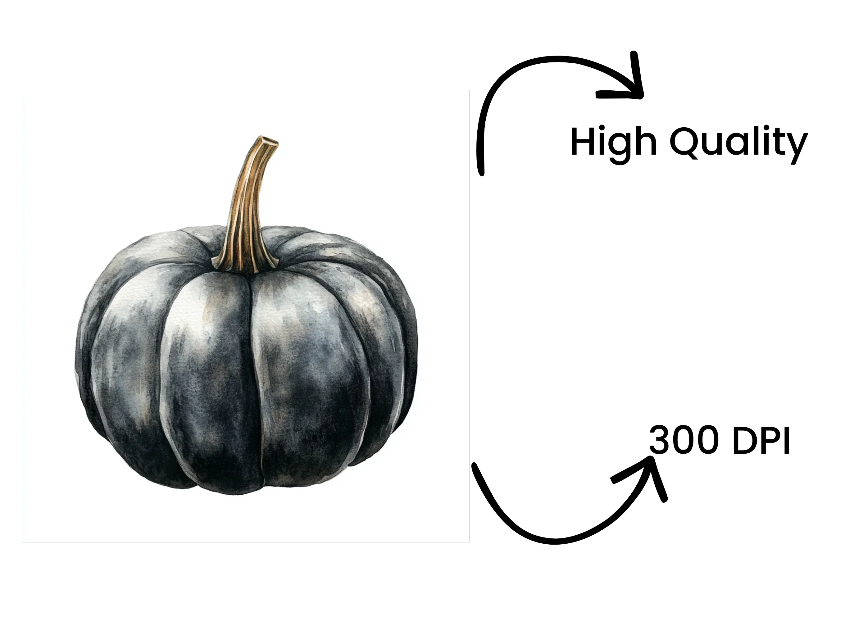 Black Pumpkins Clipart Bundle - Image 4