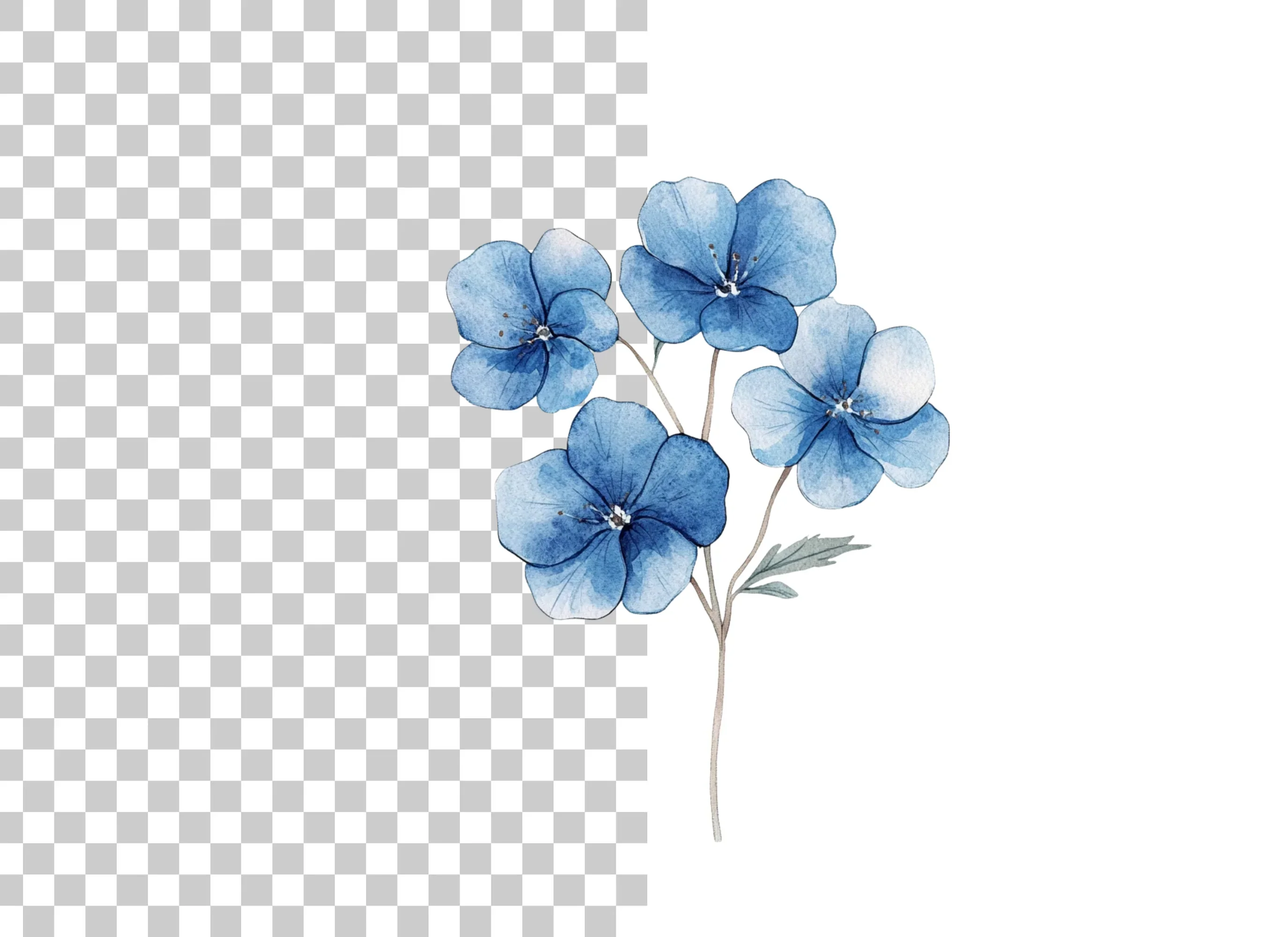 Blue Hydrangea Clipart Bundle - Image 6