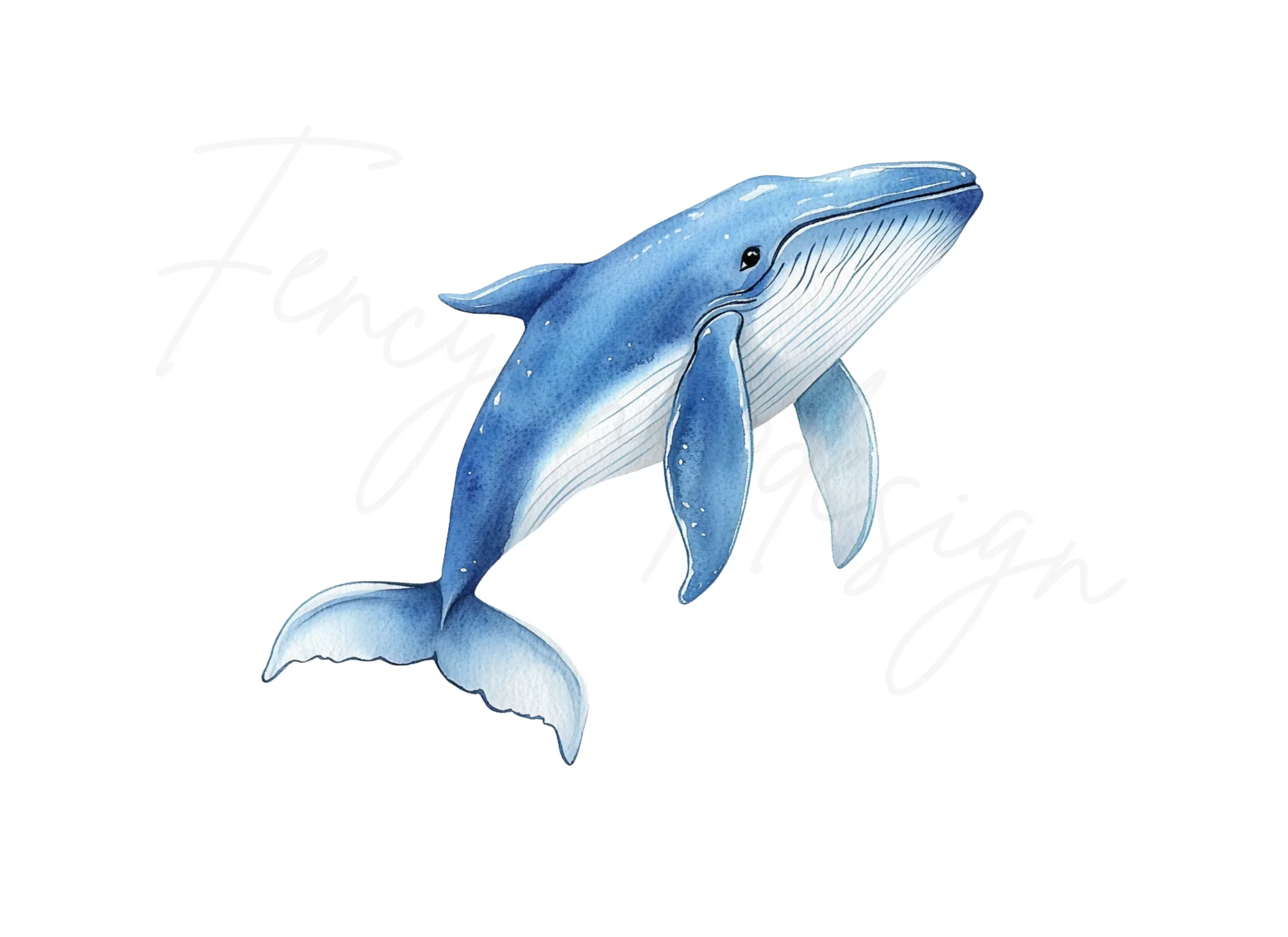 Blue Whale Ocean Clipart Bundle - Image 2