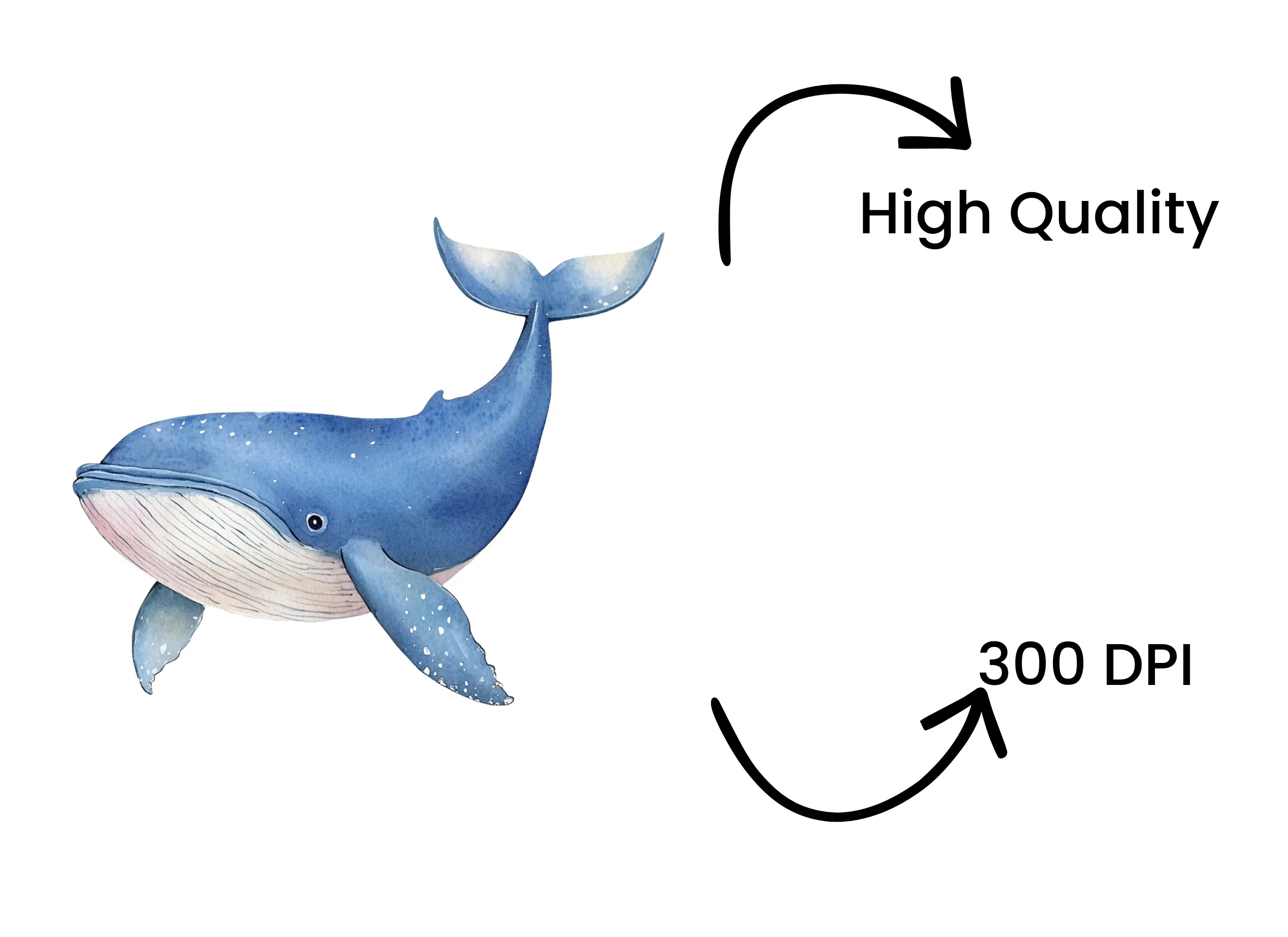 Blue Whale Ocean Clipart Bundle - Image 4