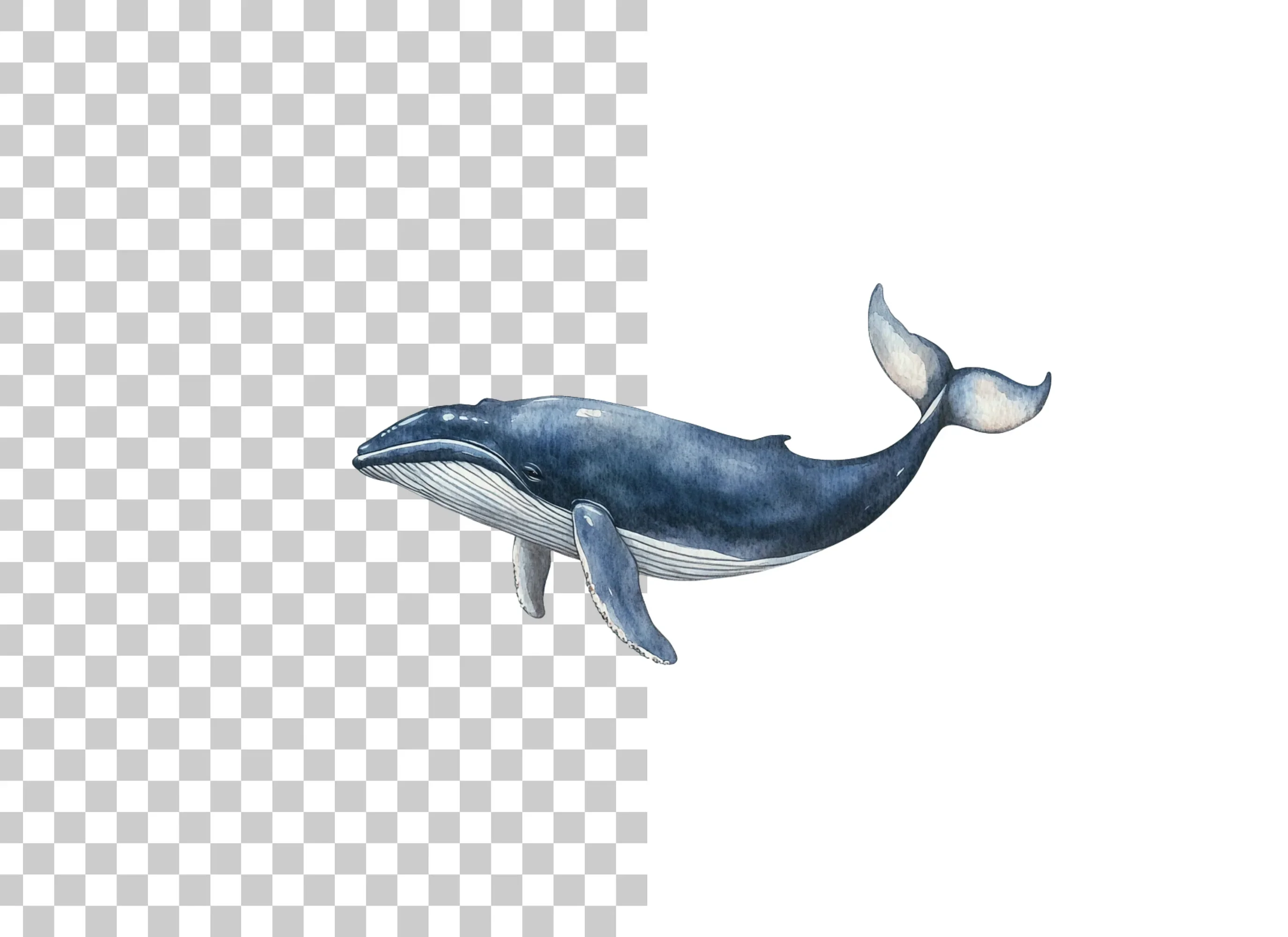 Blue Whales Clipart Bundle - Image 2