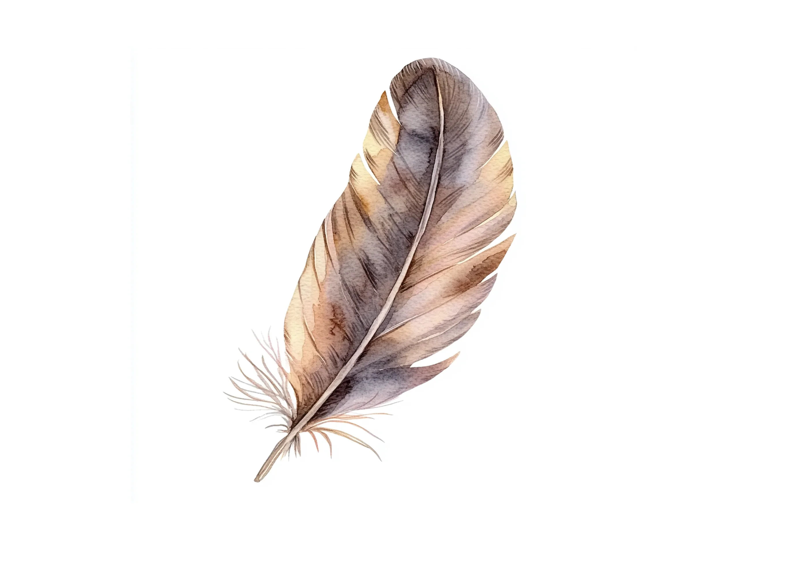 Boho Feather Clipart Bundle - Image 2