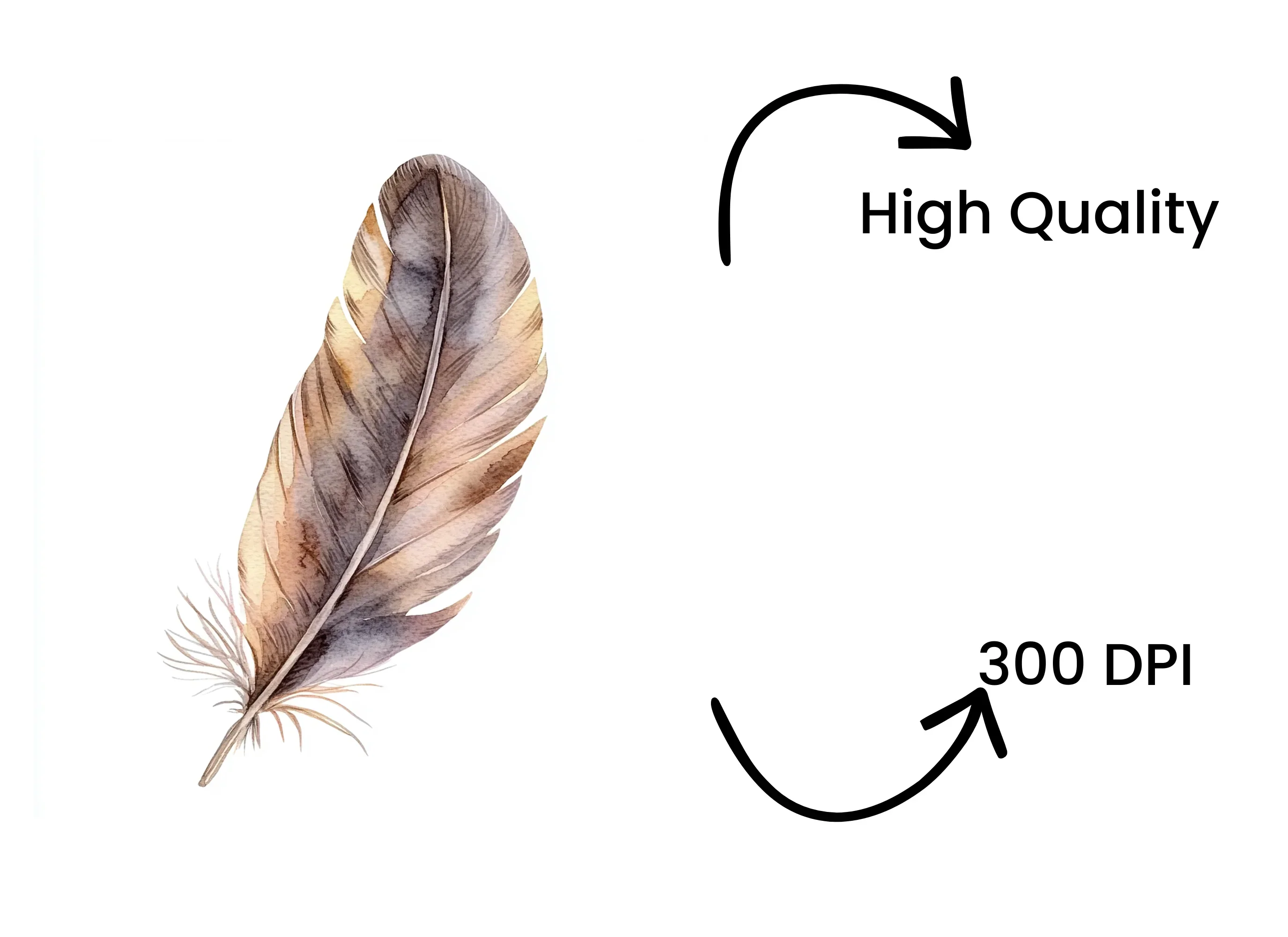Boho Feather Clipart Bundle - Image 4