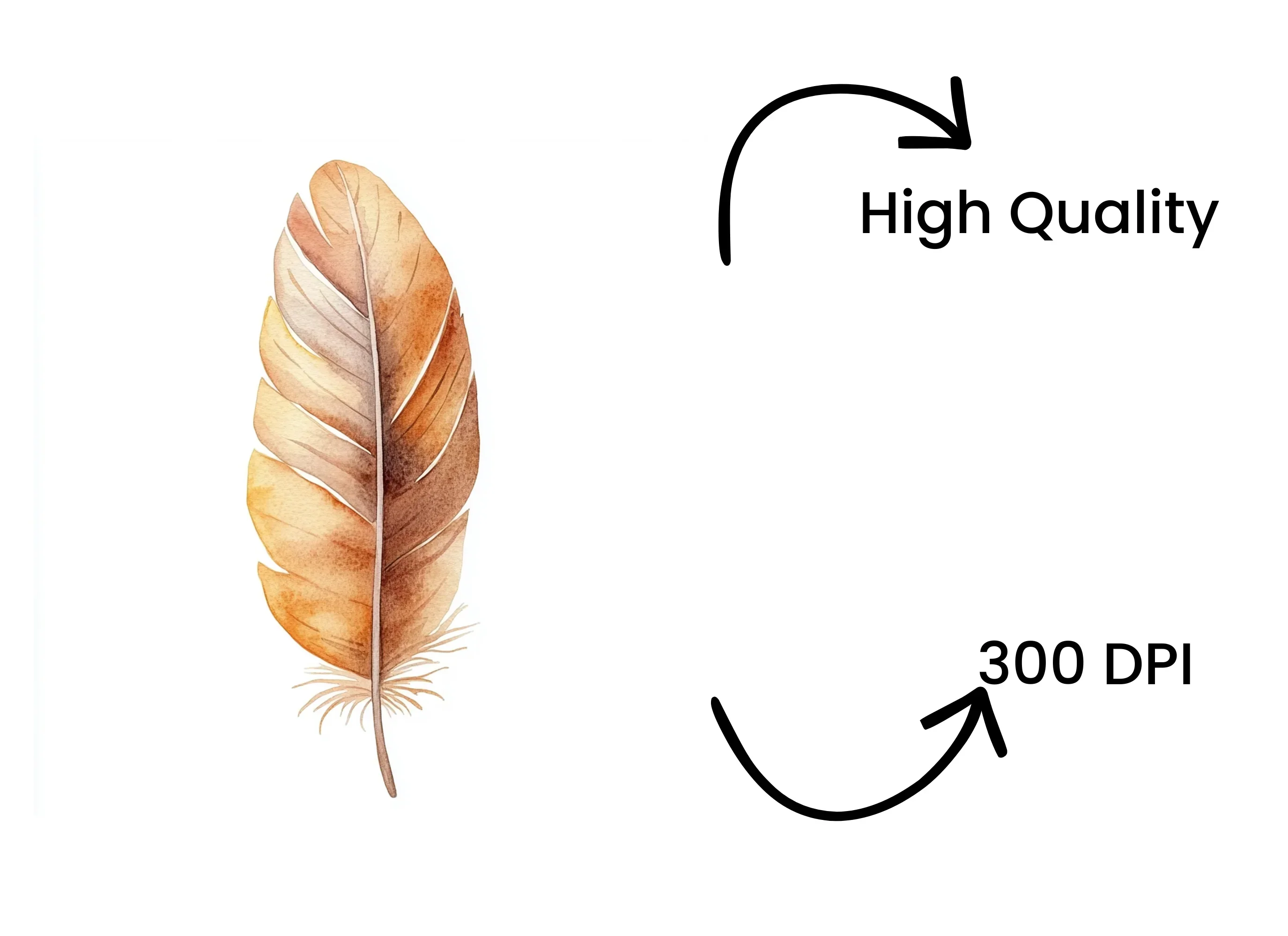 Boho Feather Clipart Bundle - Image 4