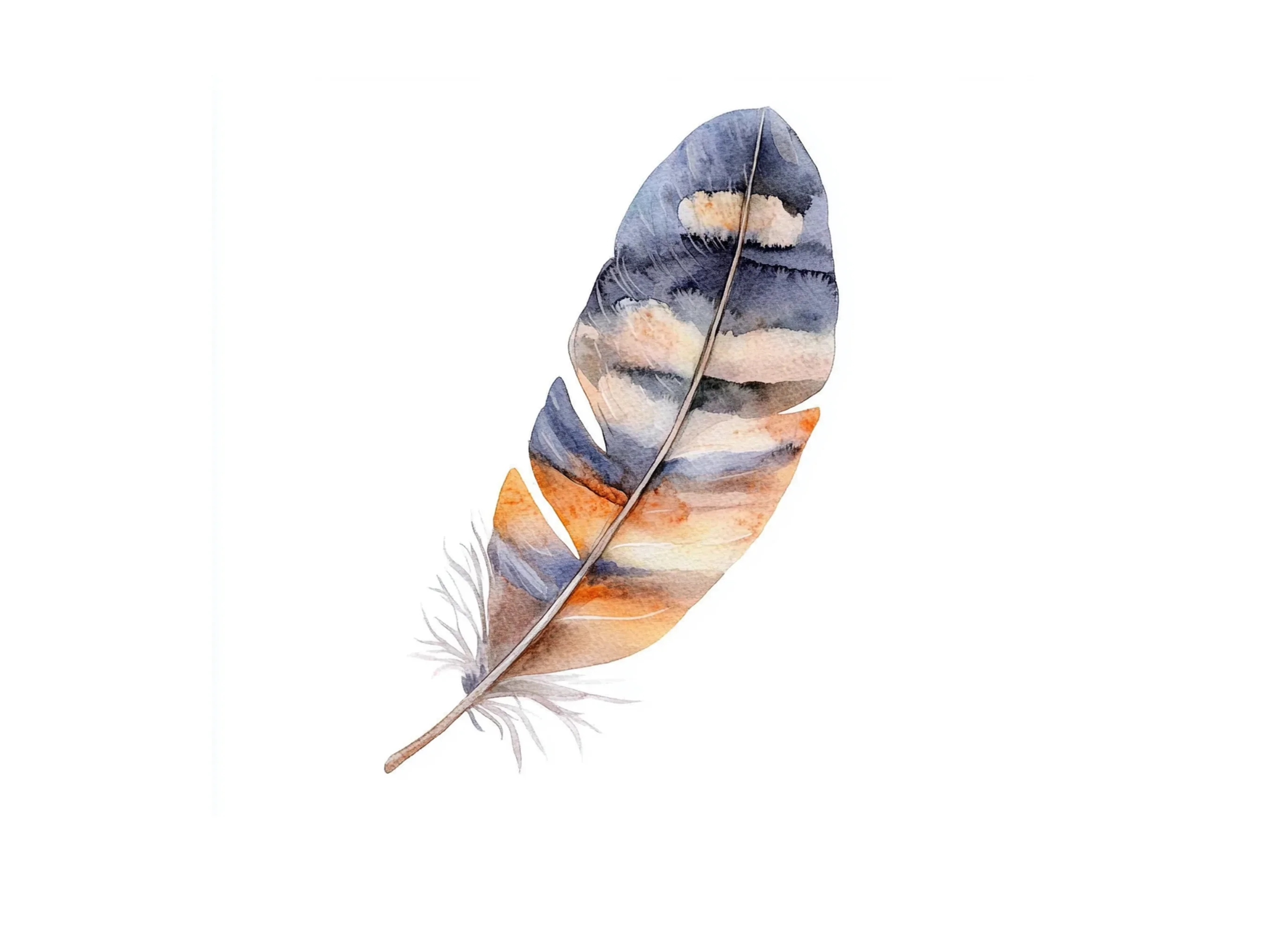 Boho Feather Clipart Bundle - Image 2