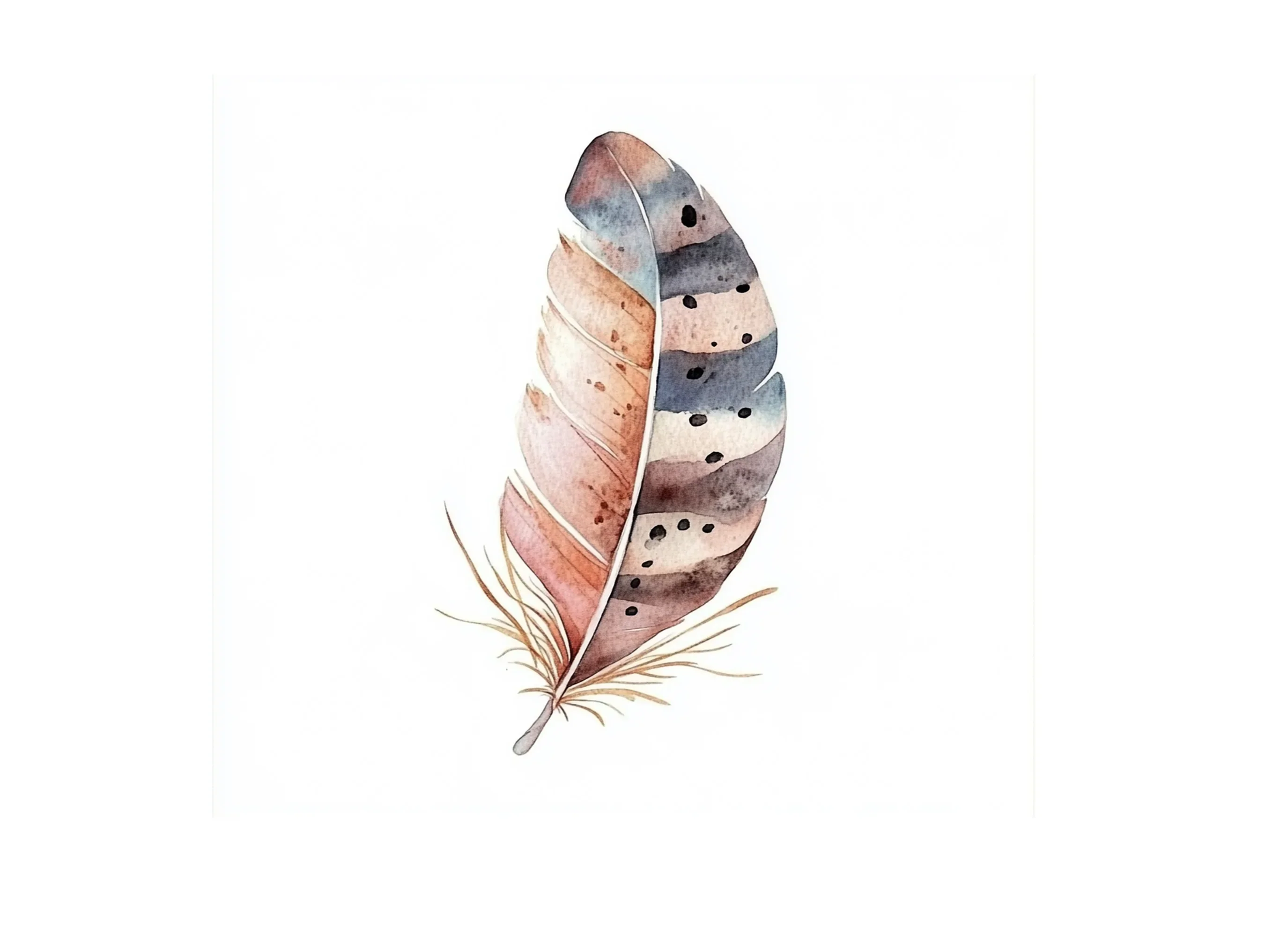 Boho Feather Clipart Bundle - Image 3
