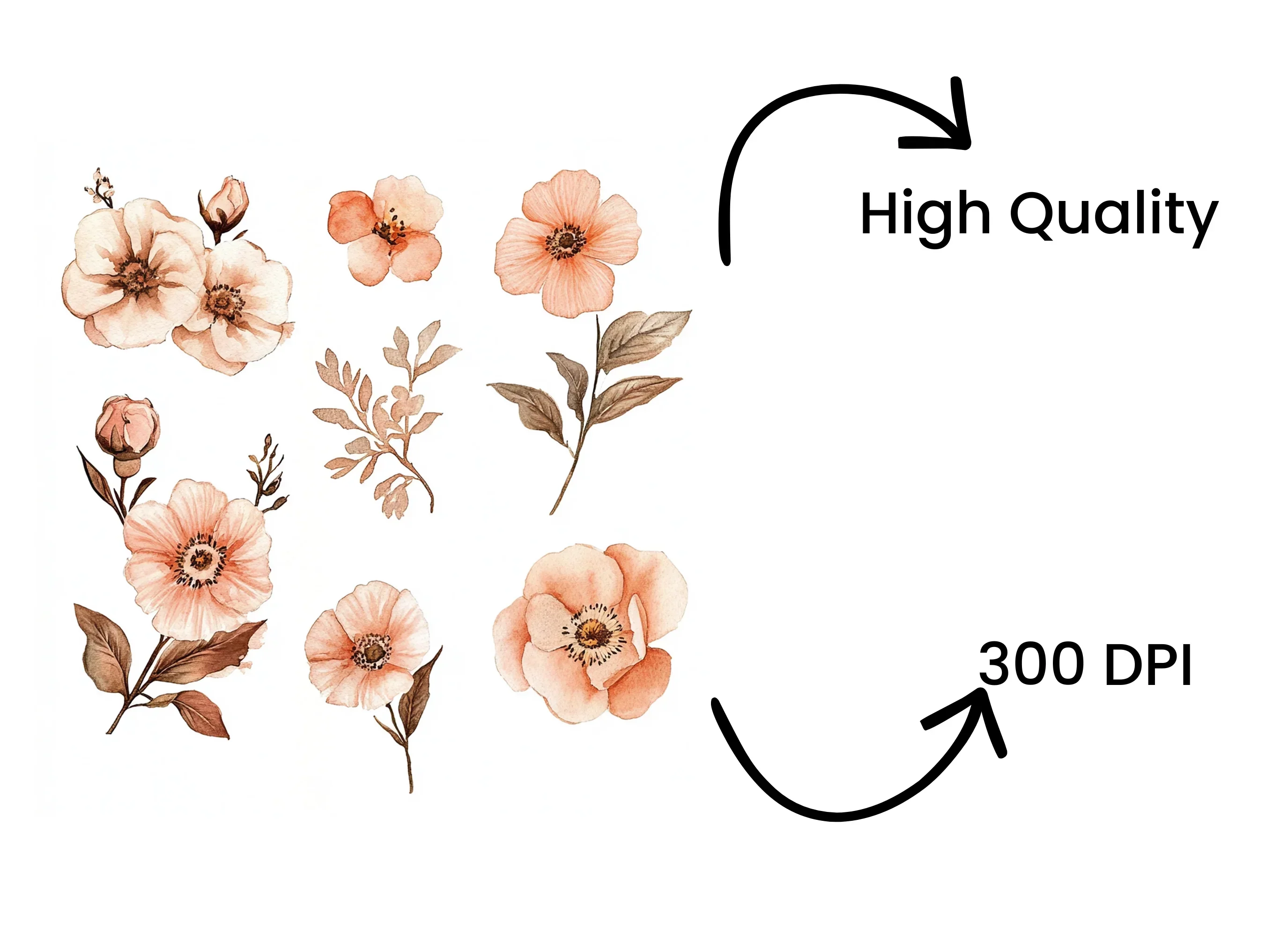 Boho Flower Clipart Bundle - Image 4