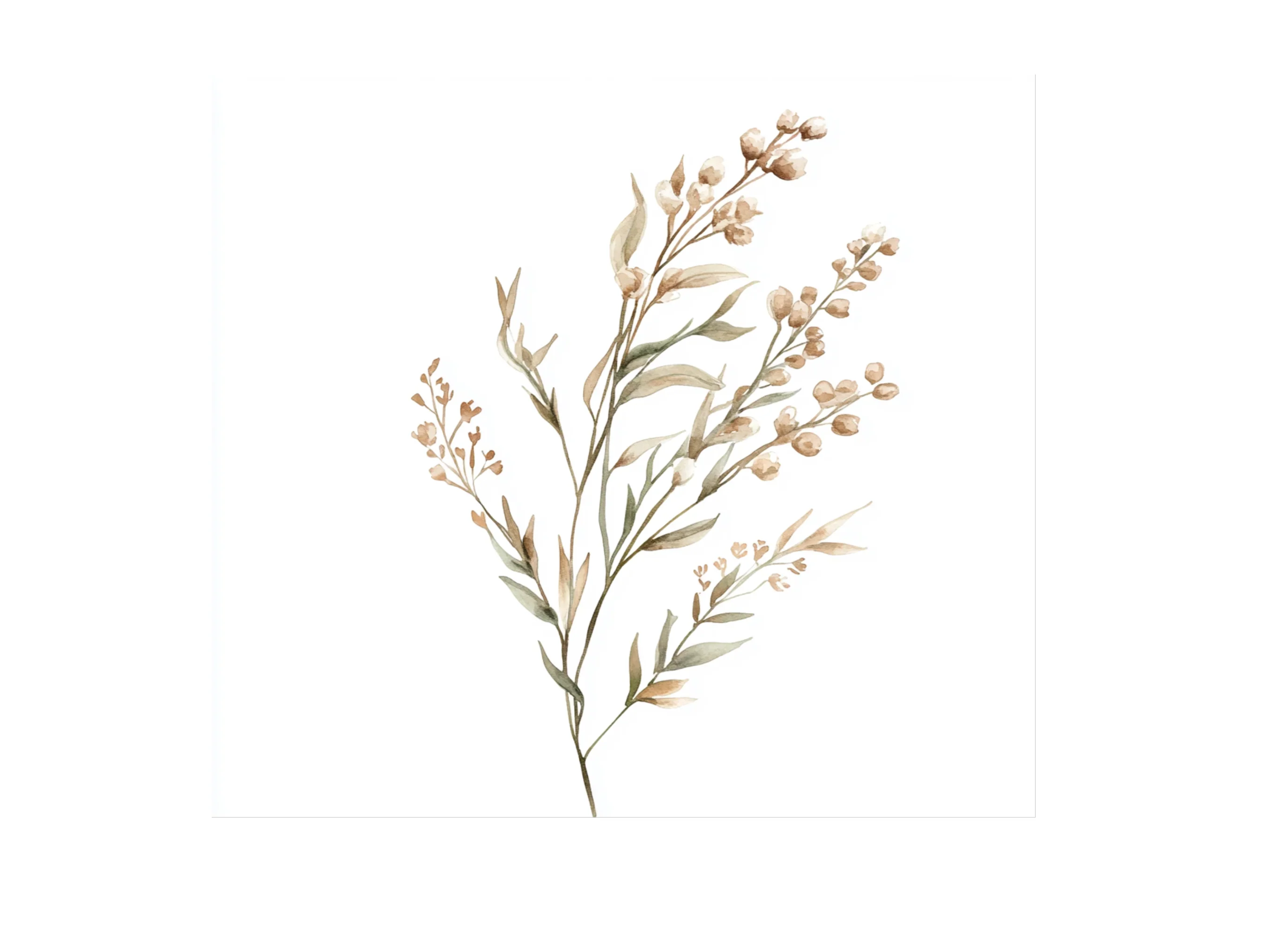 Botanical Clipart Bundle - Image 2